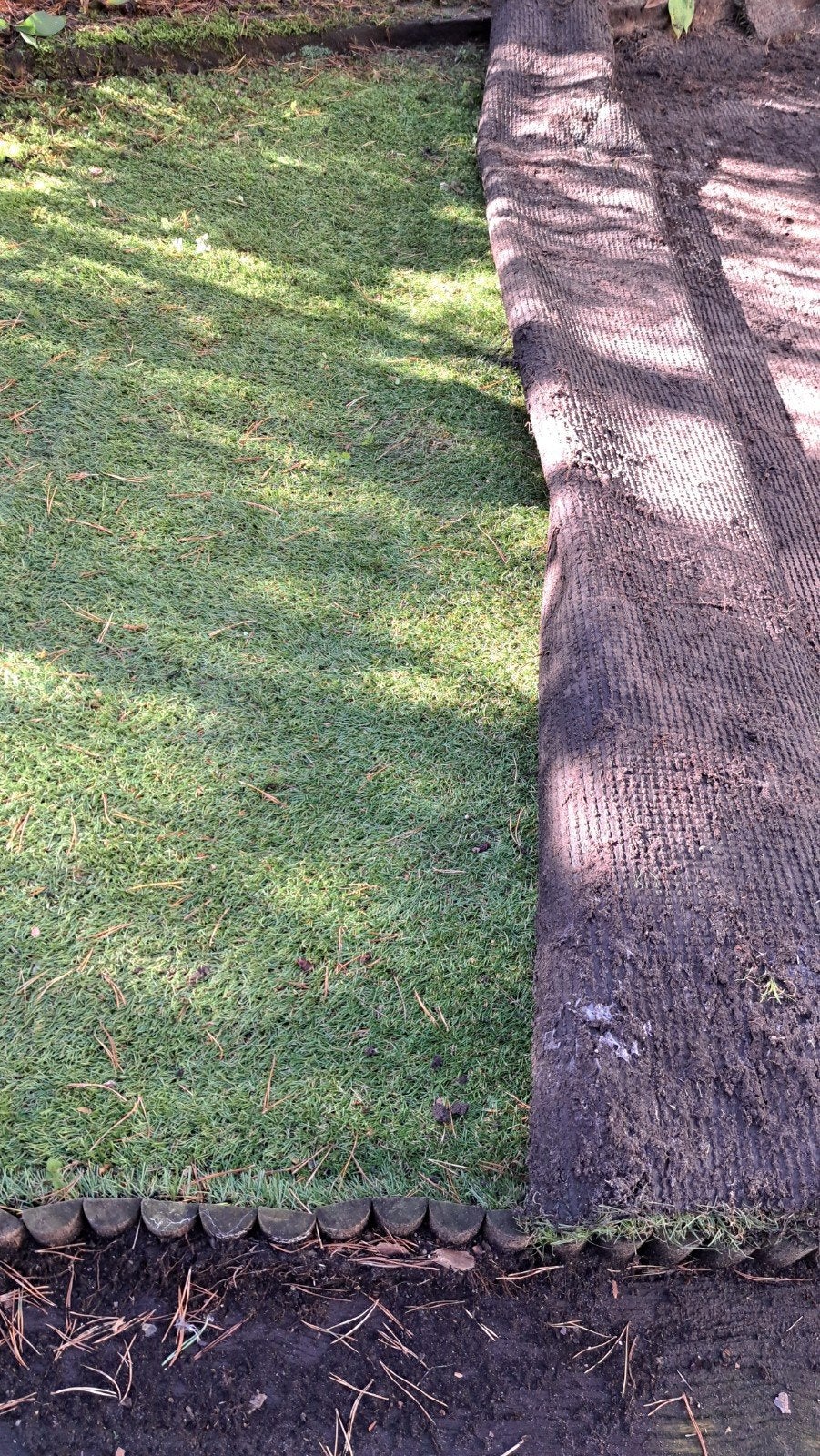 Kunst Grasmat, Ophalen, Nieuw, 10 tot 20 m², Gras