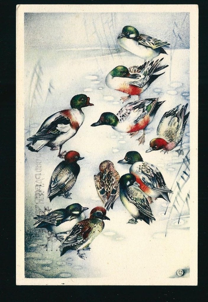 F Nanninga verschillende eenden U10, Ophalen of Verzenden, 1940 tot 1960, Gelopen, Sterren en Beroemdheden