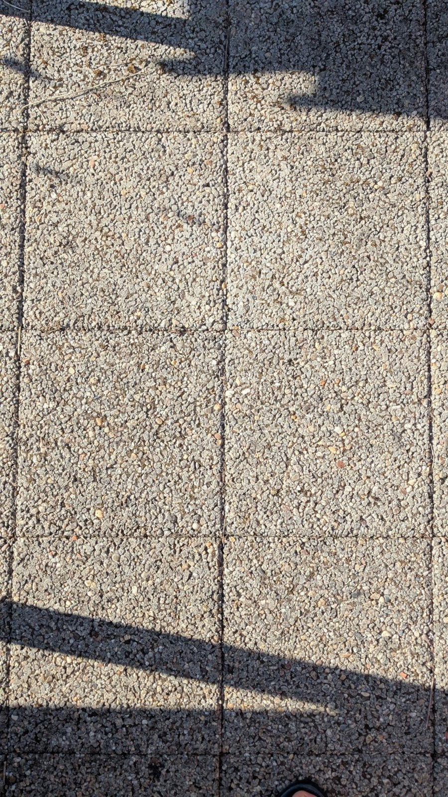 Mooiste tegels ooit!, Ophalen, Beton, Terrastegels