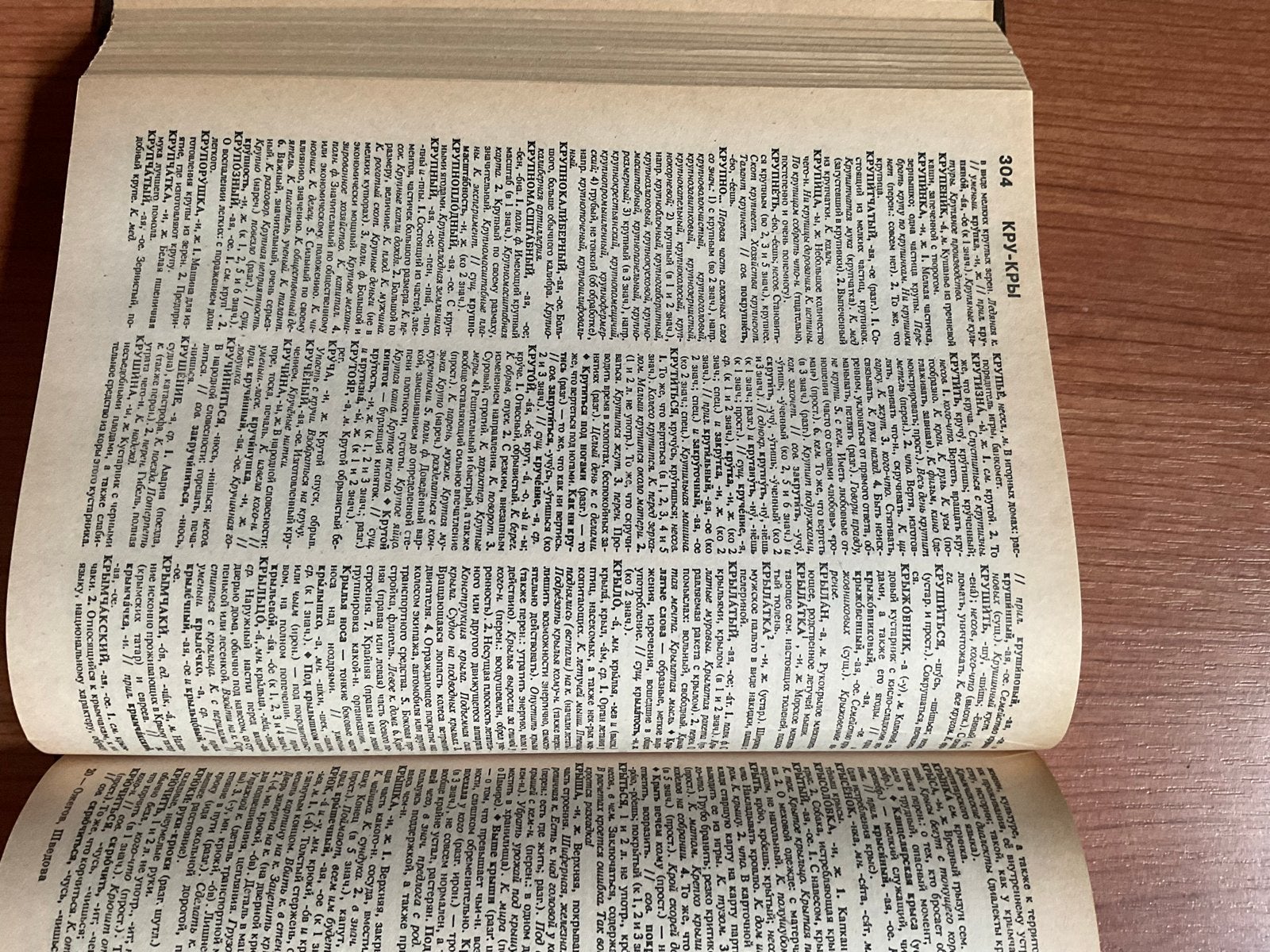 Verklarend woordenboek van de Russische taal - 1995, Boeken, Woordenboeken, Ophalen of Verzenden, Zo goed als nieuw, Overige uitgevers