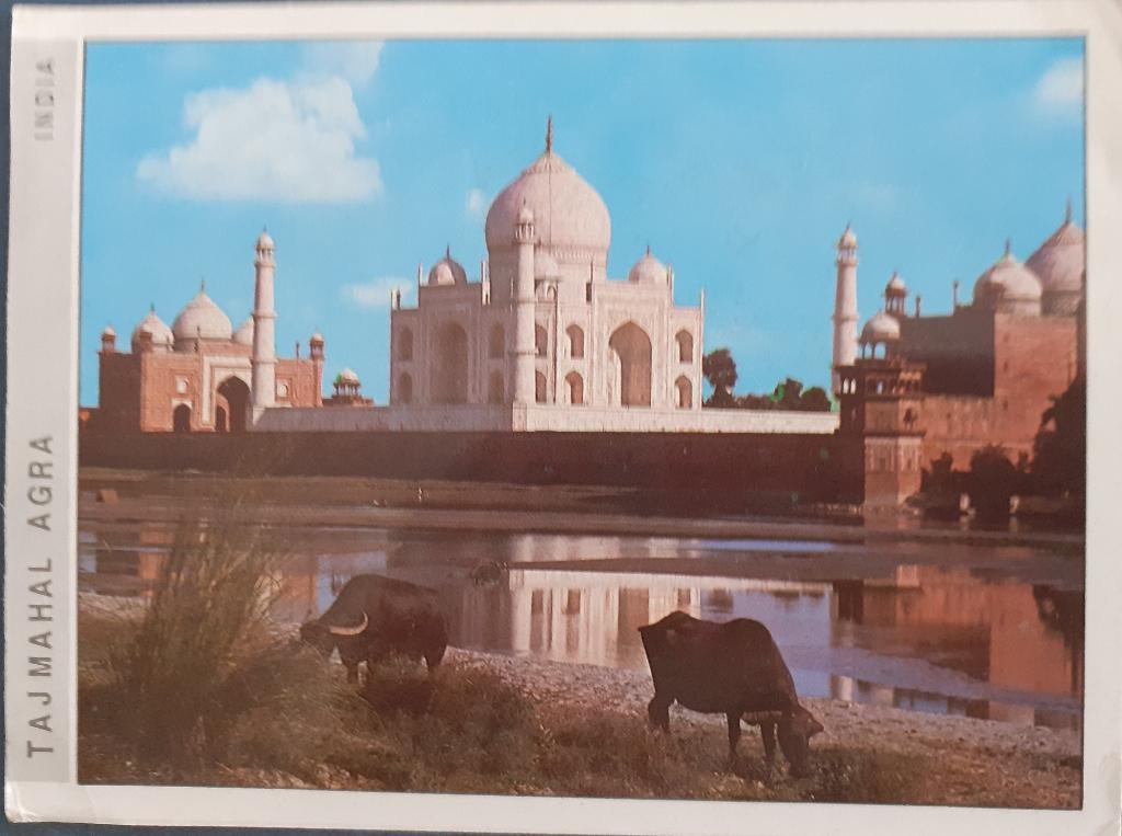 Ansichtkaart India, Ophalen of Verzenden, 1960 tot 1980, Gelopen, Buiten Europa