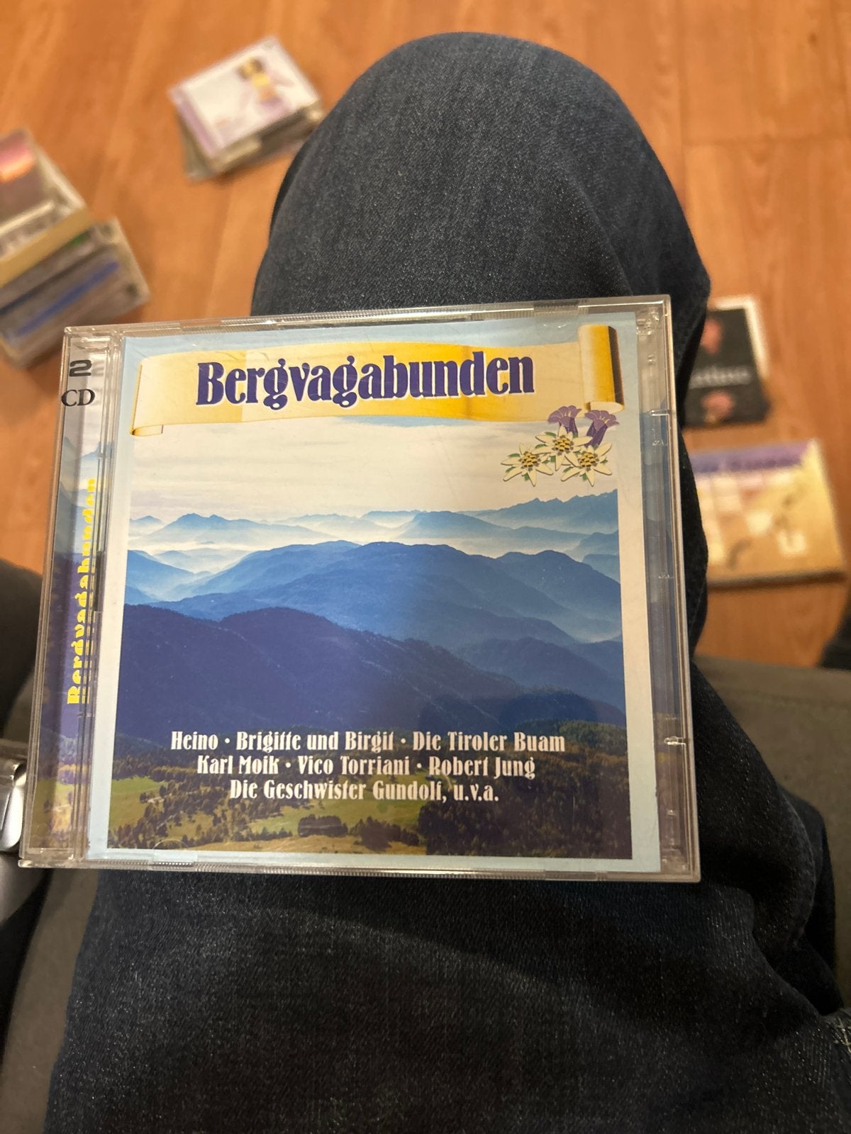 Bergvagabunden - 2 CD Album met diverse artiesten, Cd's en Dvd's, Schlager, Ophalen of Verzenden, Zo goed als nieuw, Verzamelalbum
