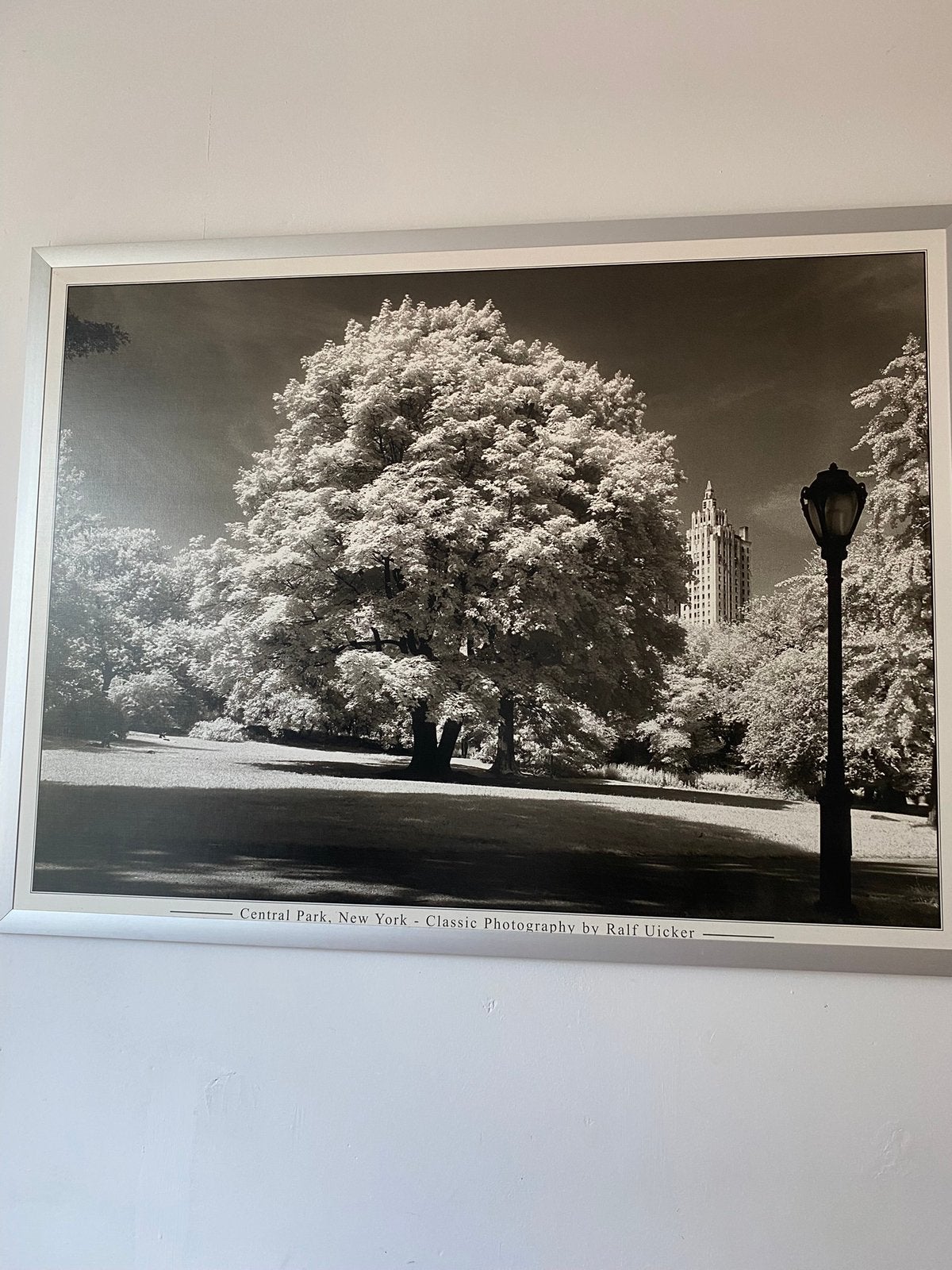 Ikea poster Central Park by Ralf Uicker, Huis en Inrichting, Woonaccessoires | Schilderijen, Tekeningen en Foto's, Ophalen, Oorspronkelijke maker