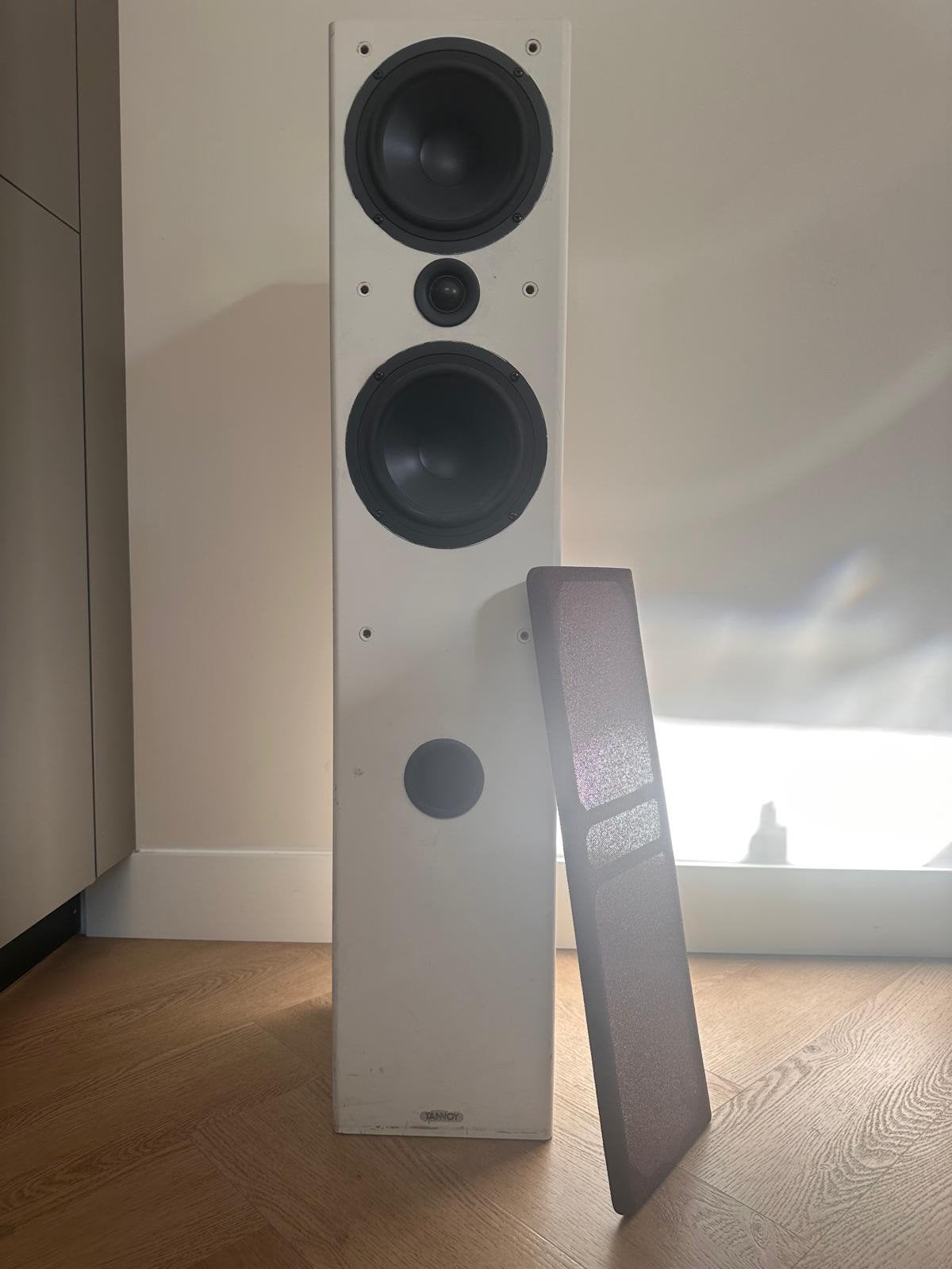 2 x Tannoy speaker, Audio, Tv en Foto, Luidsprekers, Ophalen, Gebruikt, Overige merken