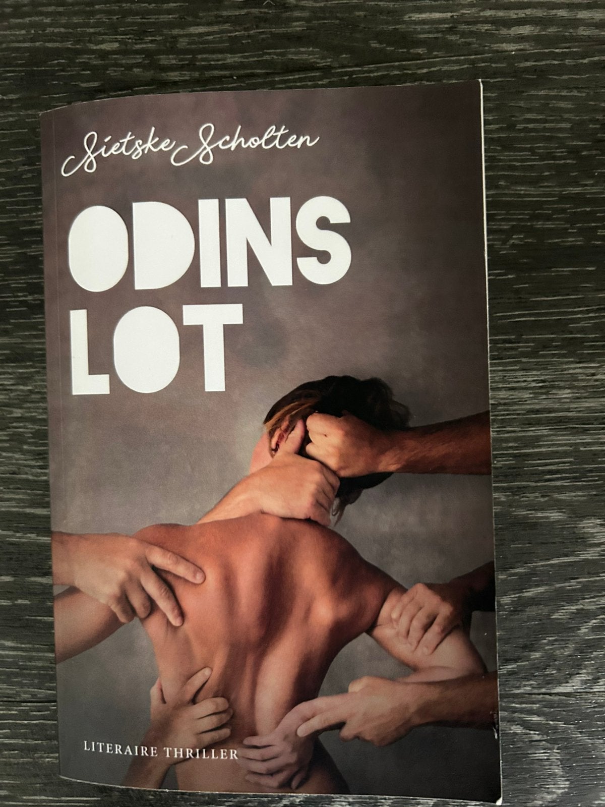 5 thrillers van Sietske Scholten voor € 10,00, Ophalen, Zo goed als nieuw
