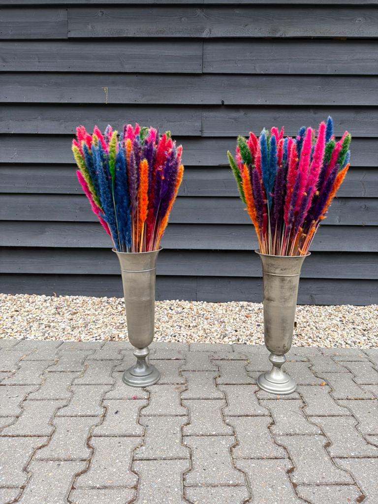 Kleurrijke gedroogde pluimen in zilveren vazen, Ophalen, Nieuw, Unisex volwassen