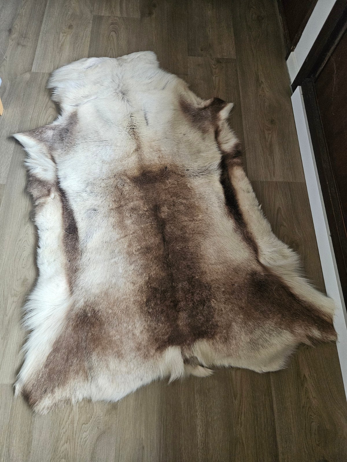 Prachtige Rendierhuid - Natuurlijke Decoratie, Ophalen, 100 tot 150 cm, Scandinavisch, Natuurlijk, Rustiek, Grijs