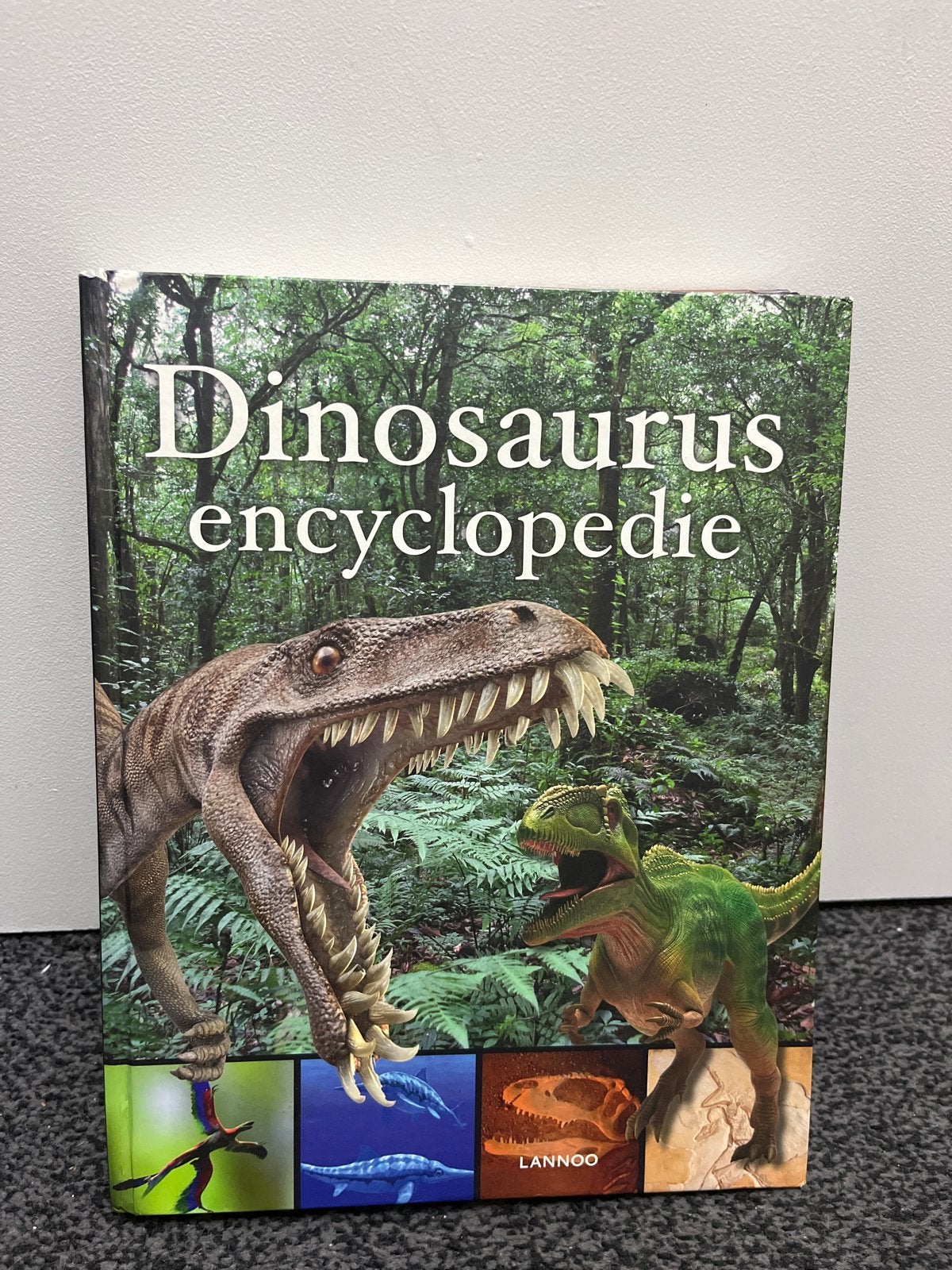Dinosaurus encyclopedie - Lannoo, Boeken, Ophalen of Verzenden, Zo goed als nieuw, Dieren, Los deel