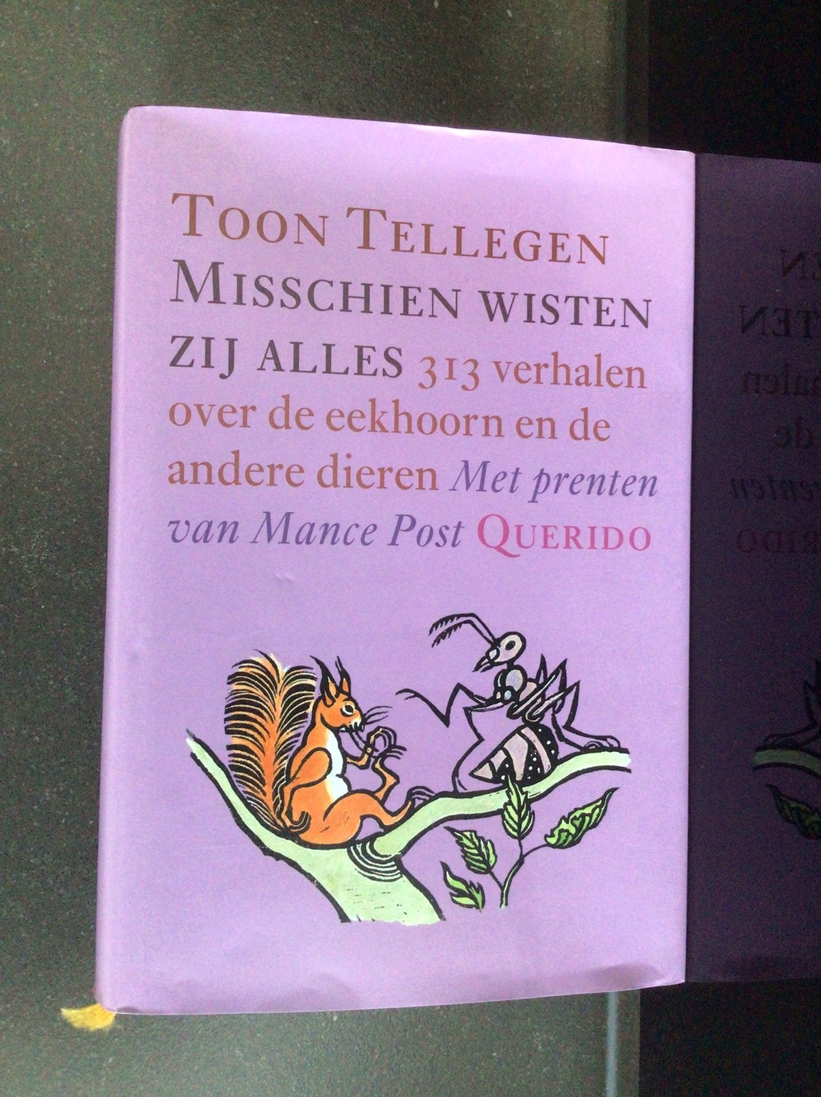 Toon Tellegen “Misschien wisten zij alles” 313 verhalen zgan, Ophalen of Verzenden, Zo goed als nieuw