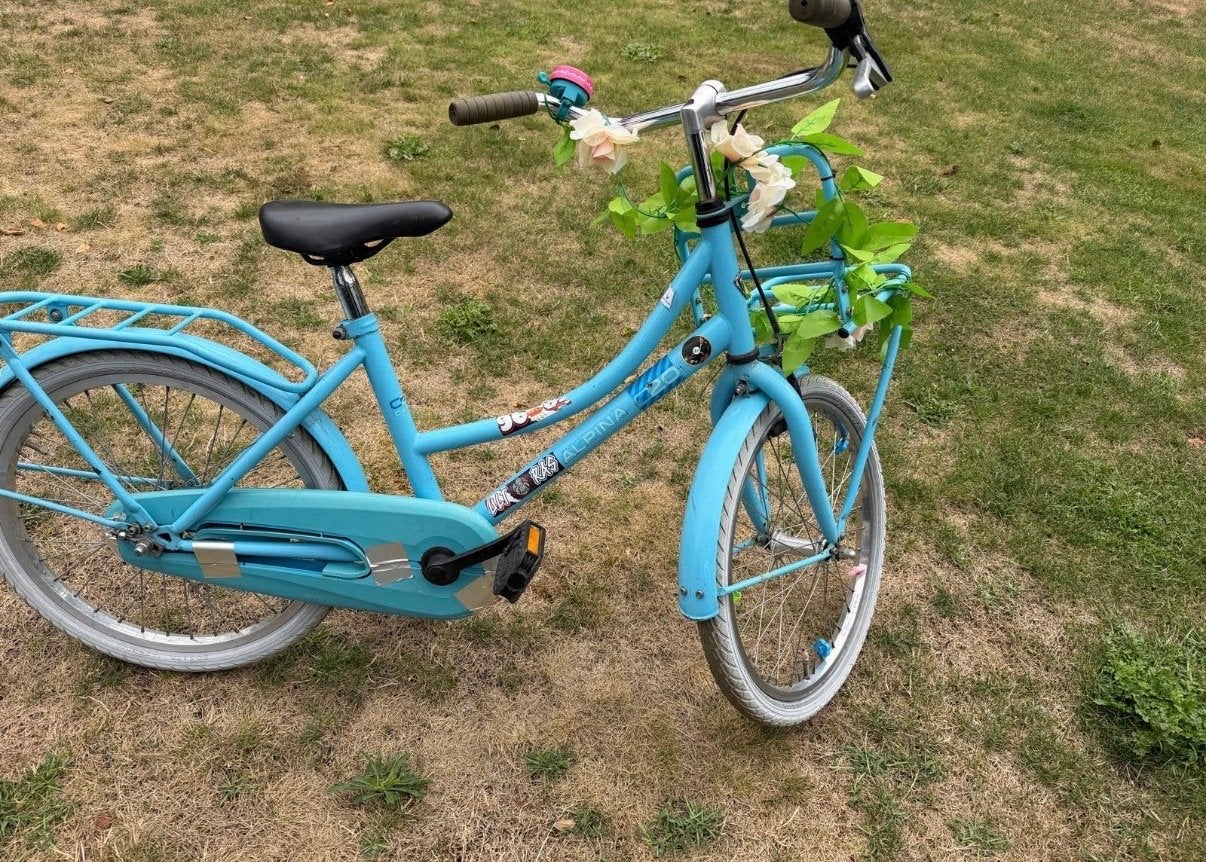 Leuke blauwe meisjesfiets 20 inch, Fietsen en Brommers, Ophalen, Terugtraprem, Gebruikt, Handrem