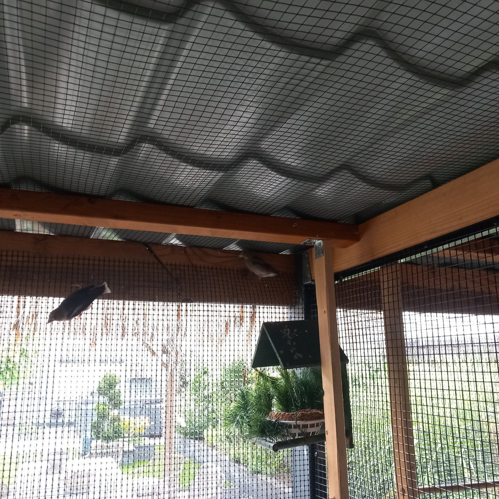 Appelvinken mooi koppel, Ophalen of Verzenden, Nieuw, Aluminium, Vogelkooi