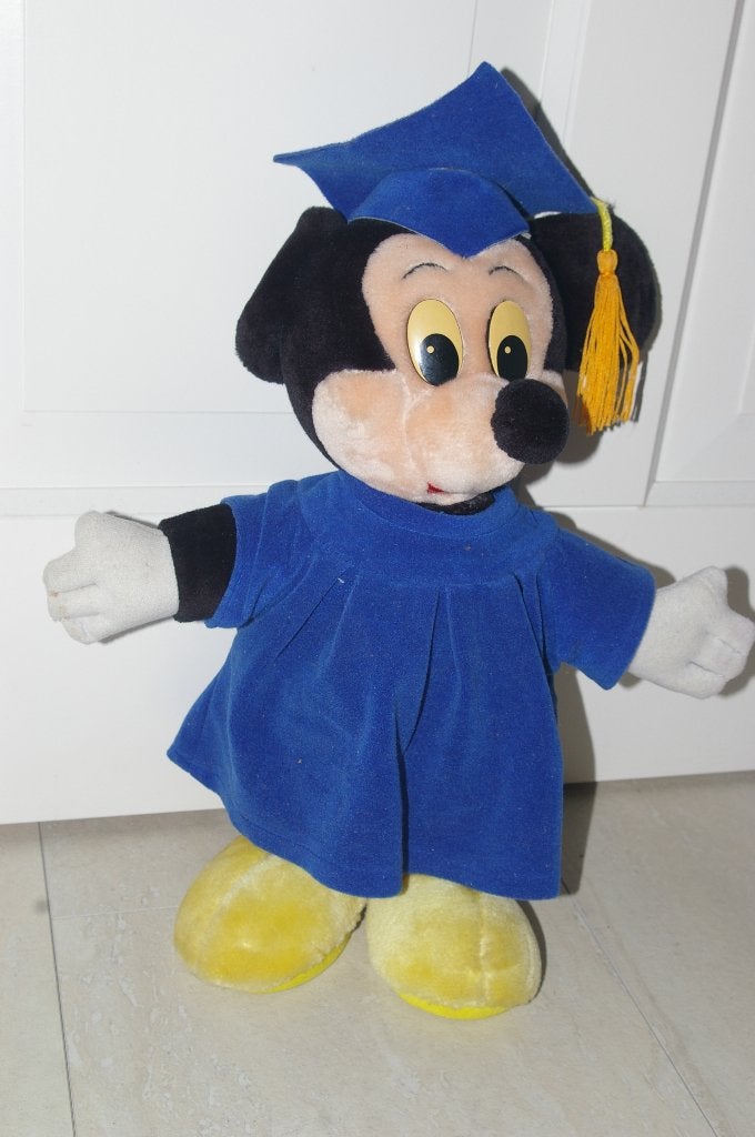 Disney knuffels en handpoppen 11 stuks., Ophalen of Verzenden, Zo goed als nieuw, Overige typen