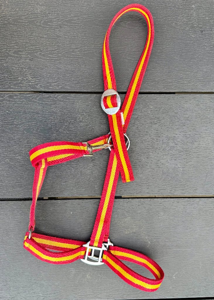 Geel oranje halster maat Full, €5, Dieren en Toebehoren, Ophalen