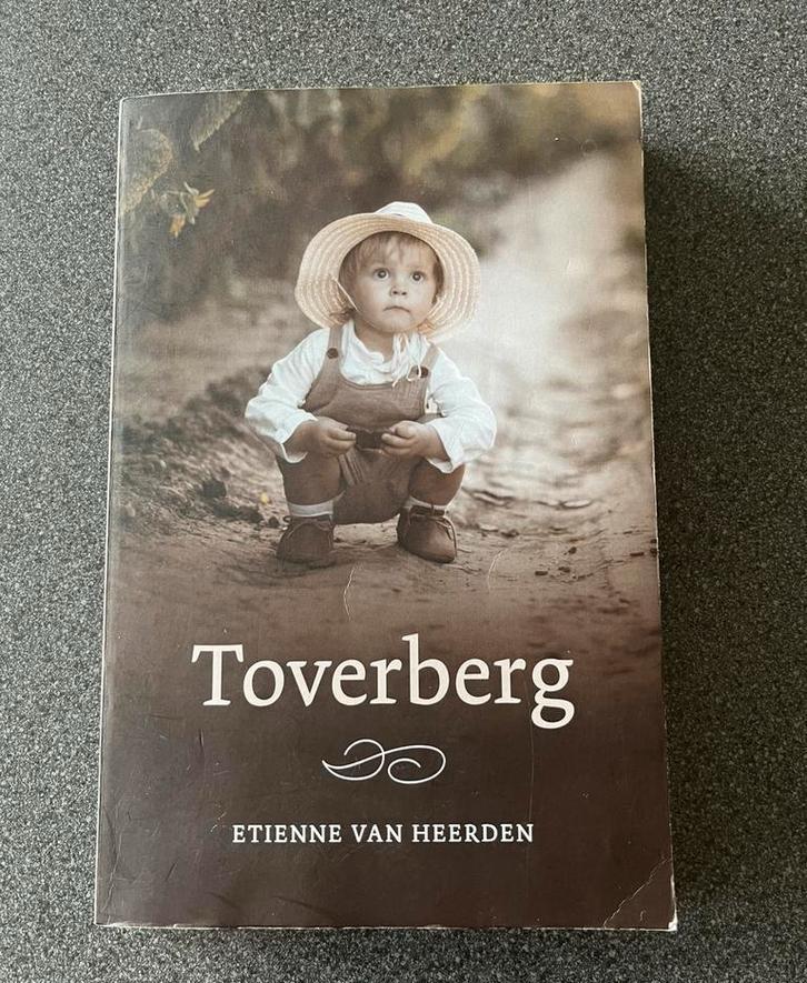 Etienne van Heerden - Toverberg, Ophalen of Verzenden, Gelezen, Etienne van Heerden
