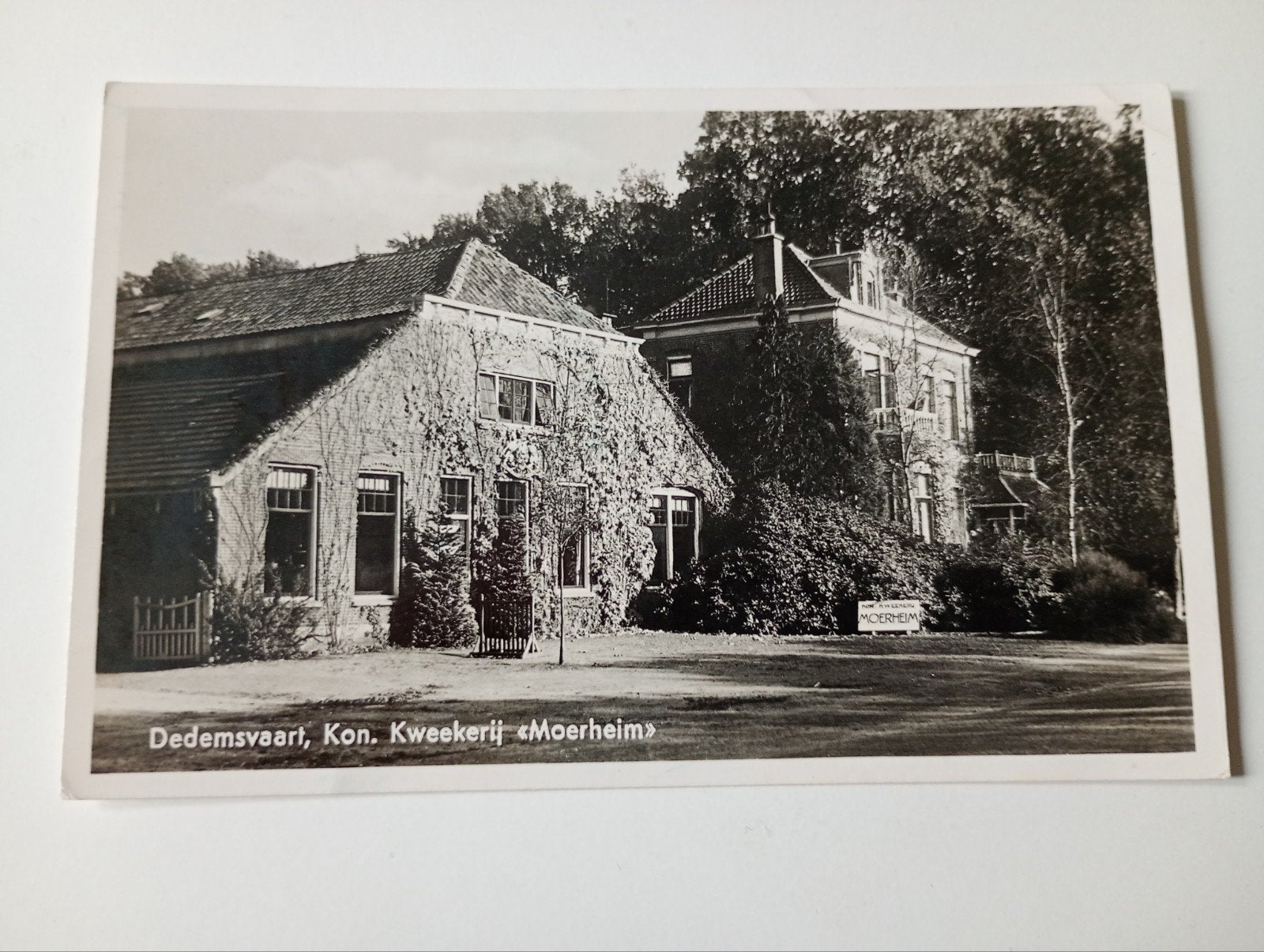 Dedemsvaart Kwekerij Moerheim 1944, Ophalen of Verzenden, 1940 tot 1960, Gelopen, Overijssel
