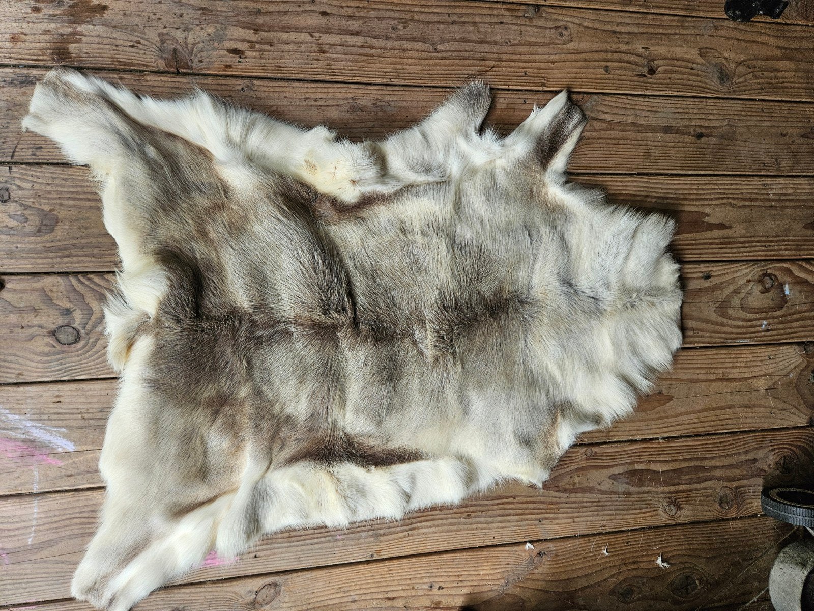 Rendierhuiden, Ophalen, Meerkleurig, Zo goed als nieuw, Natuurlijk materiaal