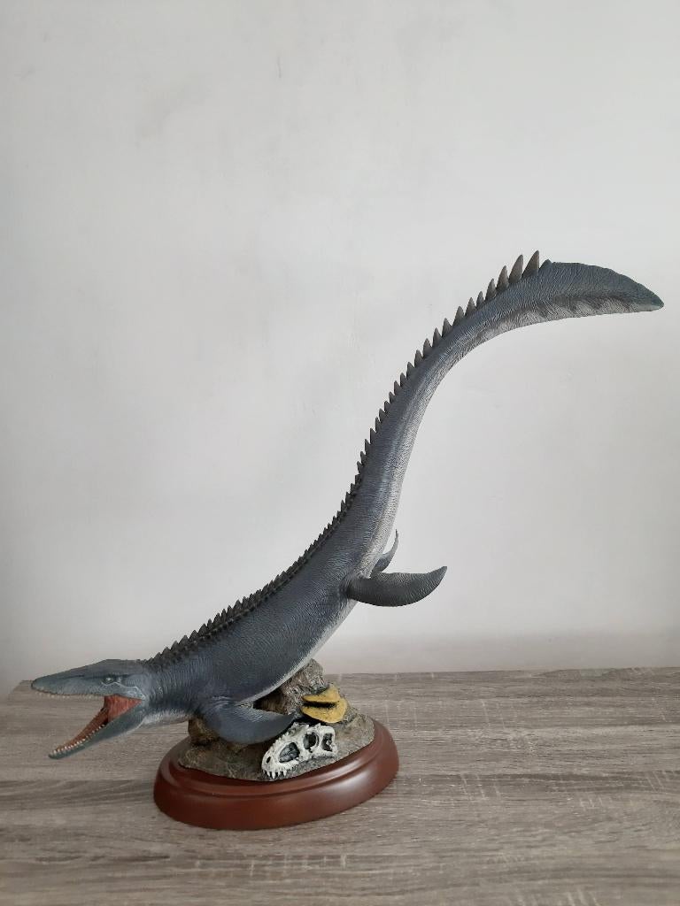 Nanmu mosasaurus, Ophalen of Verzenden, Zo goed als nieuw