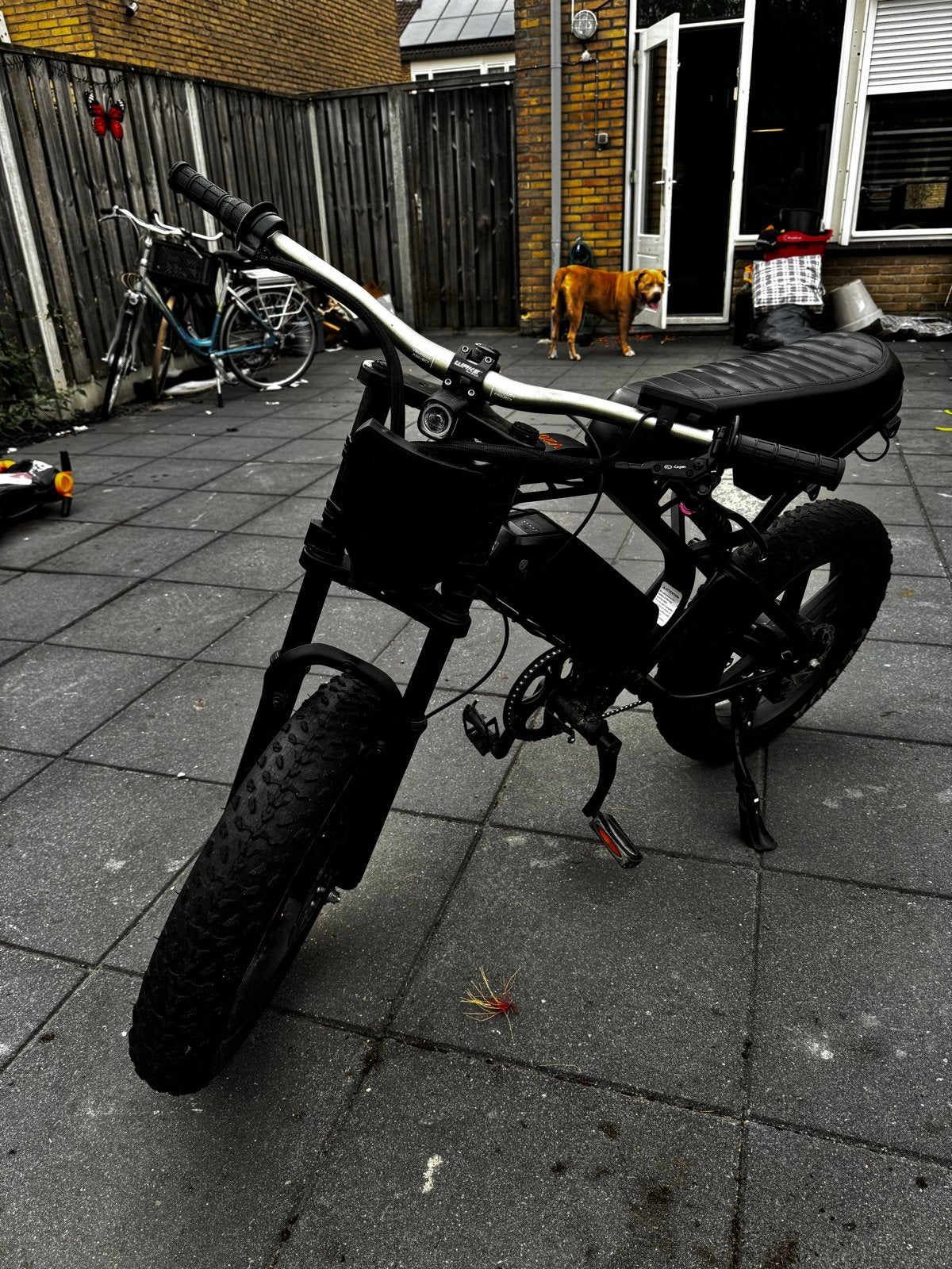 V20 Pro 2026 Custom E-bike, Ophalen, Gebruikt, Overige merken
