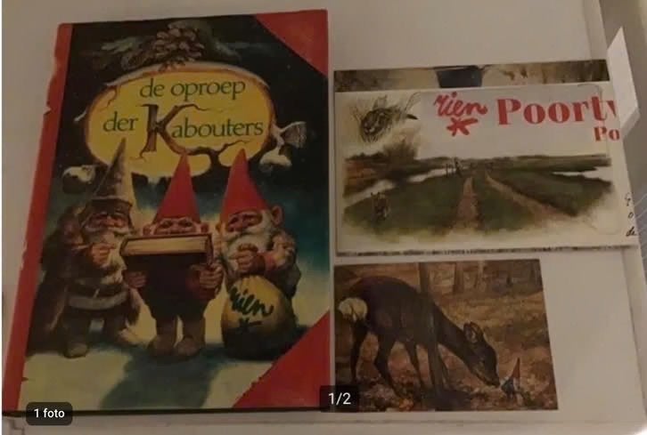 De oproep der kabouters door Rien Poortvliet, Ophalen of Verzenden, Zo goed als nieuw, Rien Poortvliet, Prentenboek