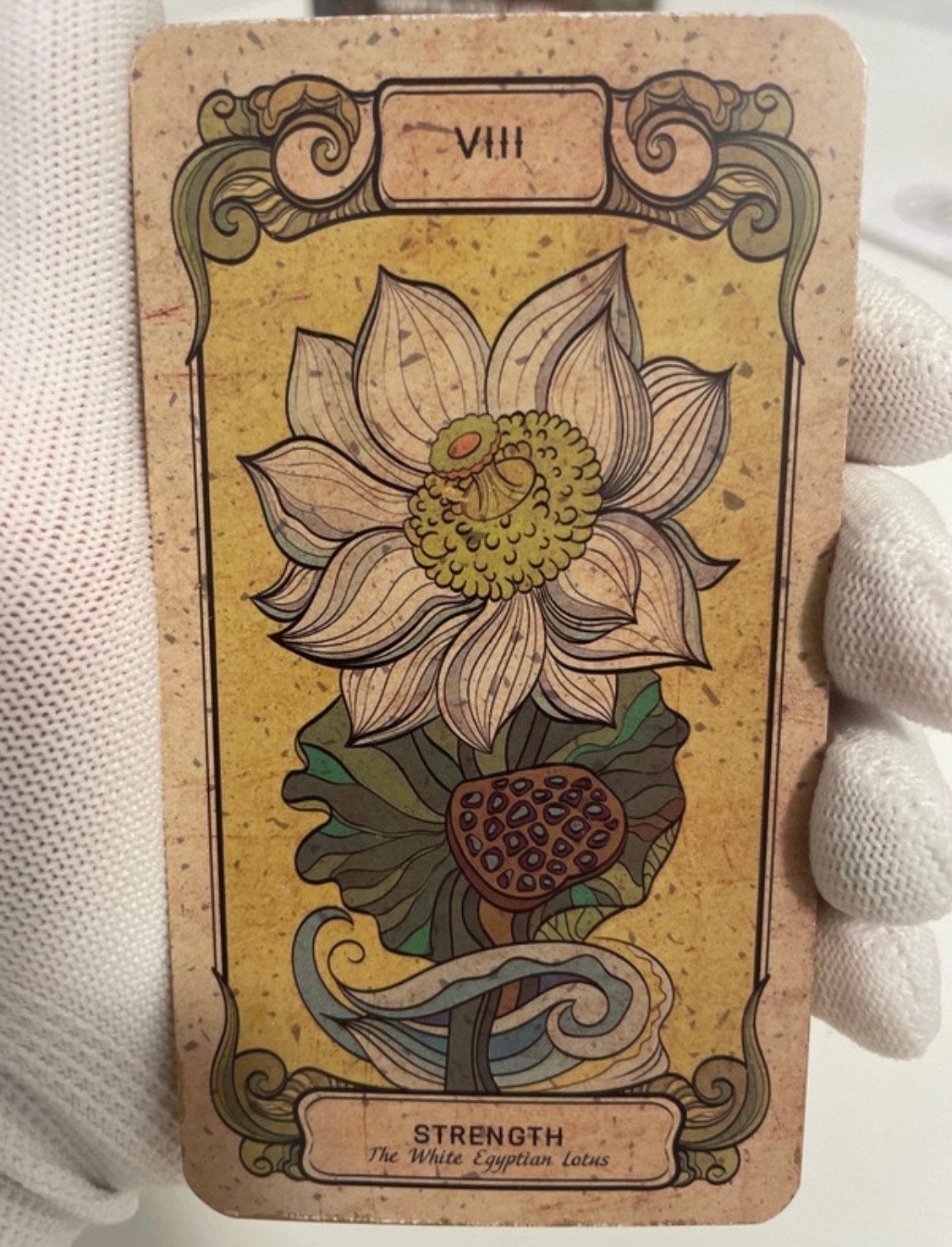 Botanica Occulta Tarot Deck - Nieuwstaat, Hobby en Vrije tijd, Gezelschapsspellen | Kaartspellen, Een of twee spelers, Ophalen of Verzenden
