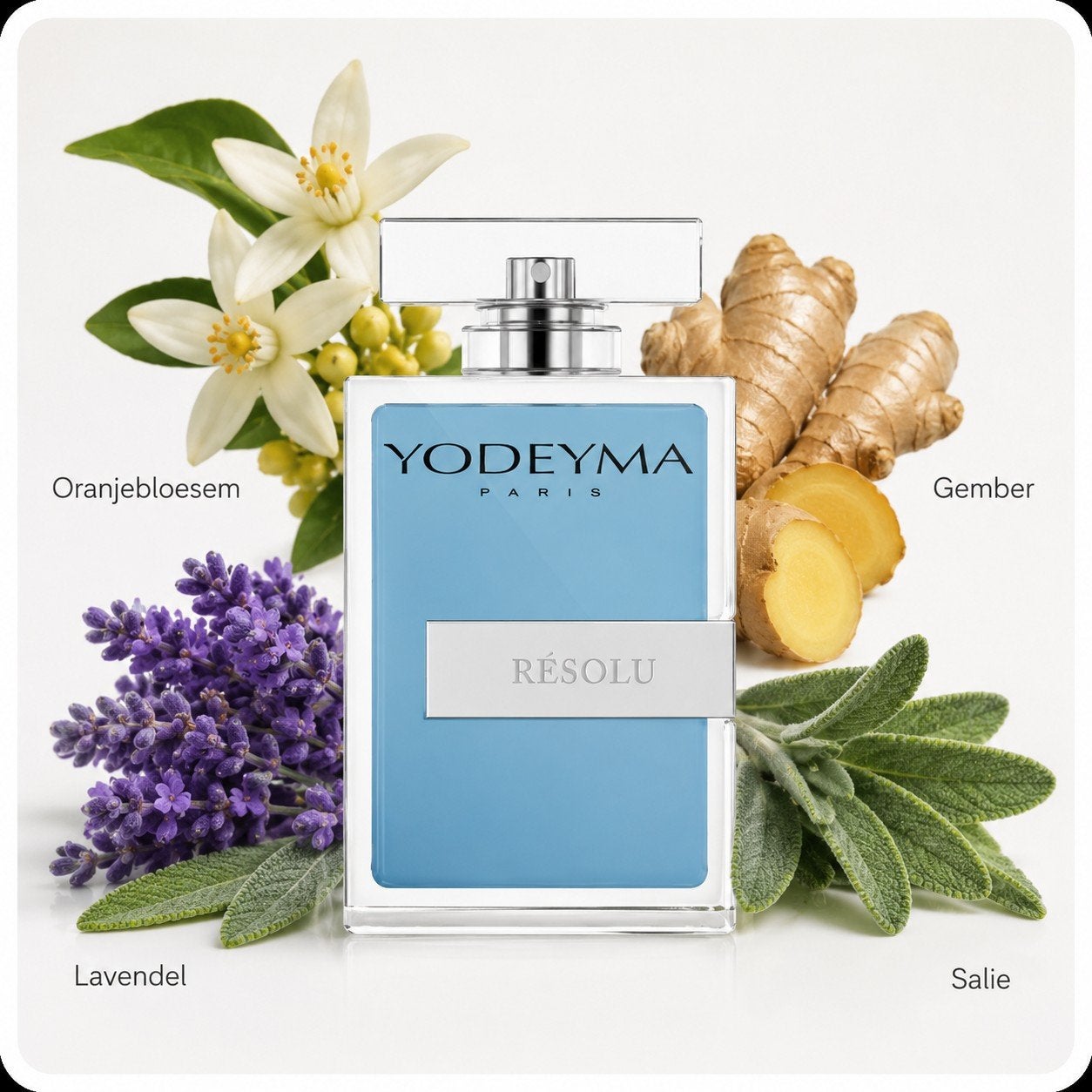 Yodeyma Parfum - Diverse Geuren in 15ml, 50ml & 100ml, Sieraden, Tassen en Uiterlijk, Uiterlijk | Parfum, Ophalen of Verzenden