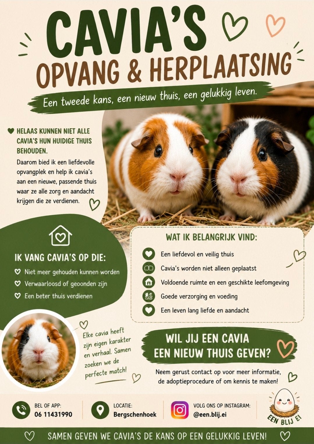 Cavia-opvang & Herplaatsing – Een Blij Ei, Maart