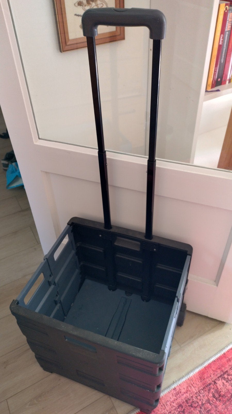 Opklapbare trolley met wielen - Ideaal voor boodschappen, Ophalen, Gebruikt, Opvouwbaar