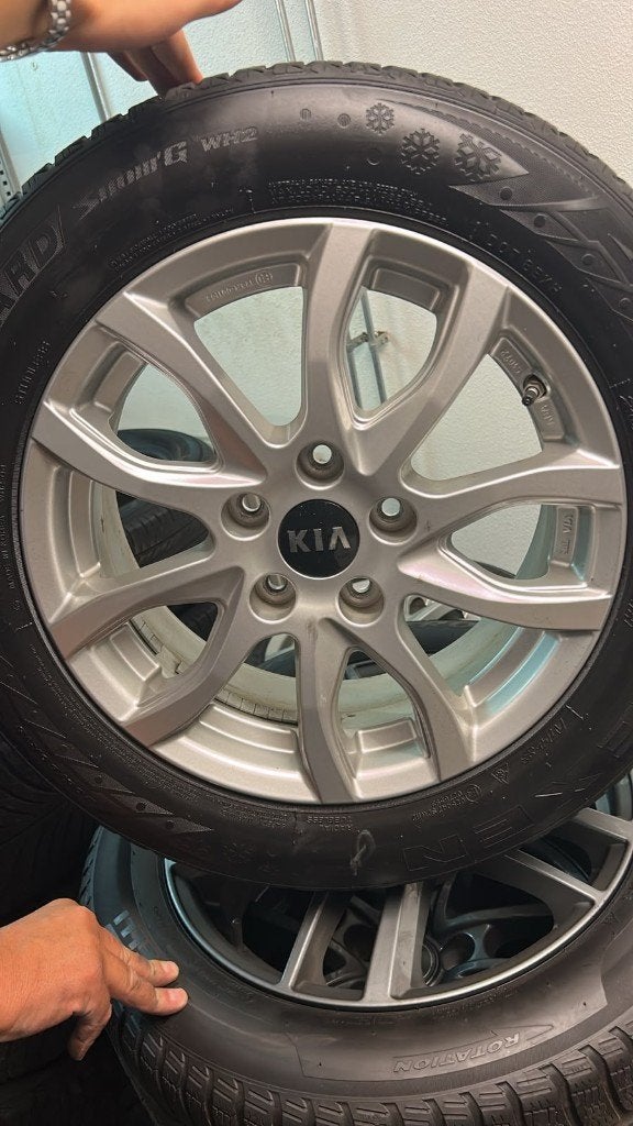 Set originele Kia velgen met winterbanden 16 inch, 5x114,3, Ophalen, Gebruikt, Velg(en), 16 inch