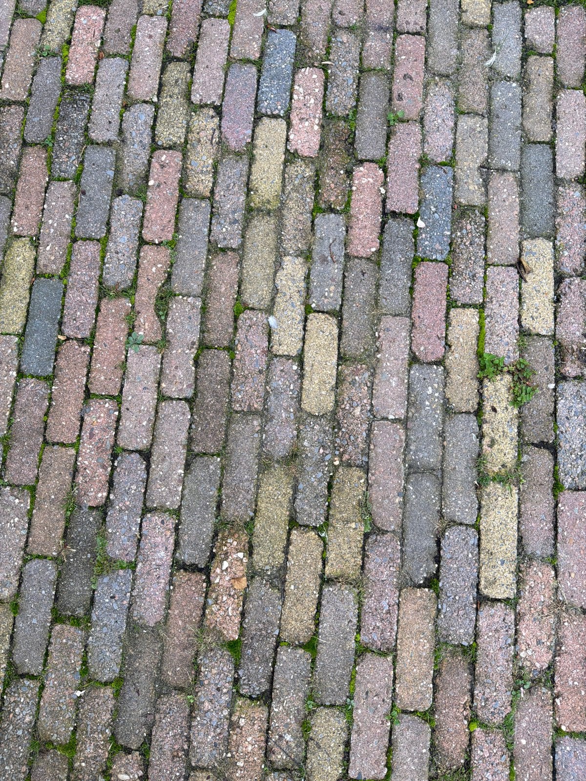 Gebruikte betonnen klinkers voor tuin of oprit, Gebruikt, Klinkers, Ophalen of Verzenden, 10 m² of meer