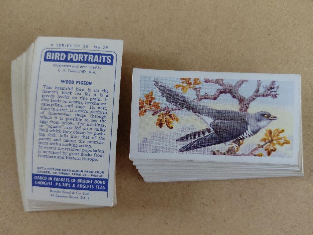 Bird Portraits complete set 50 tea cards vogels 1957, Verzamelen, Ophalen, Gebruikt