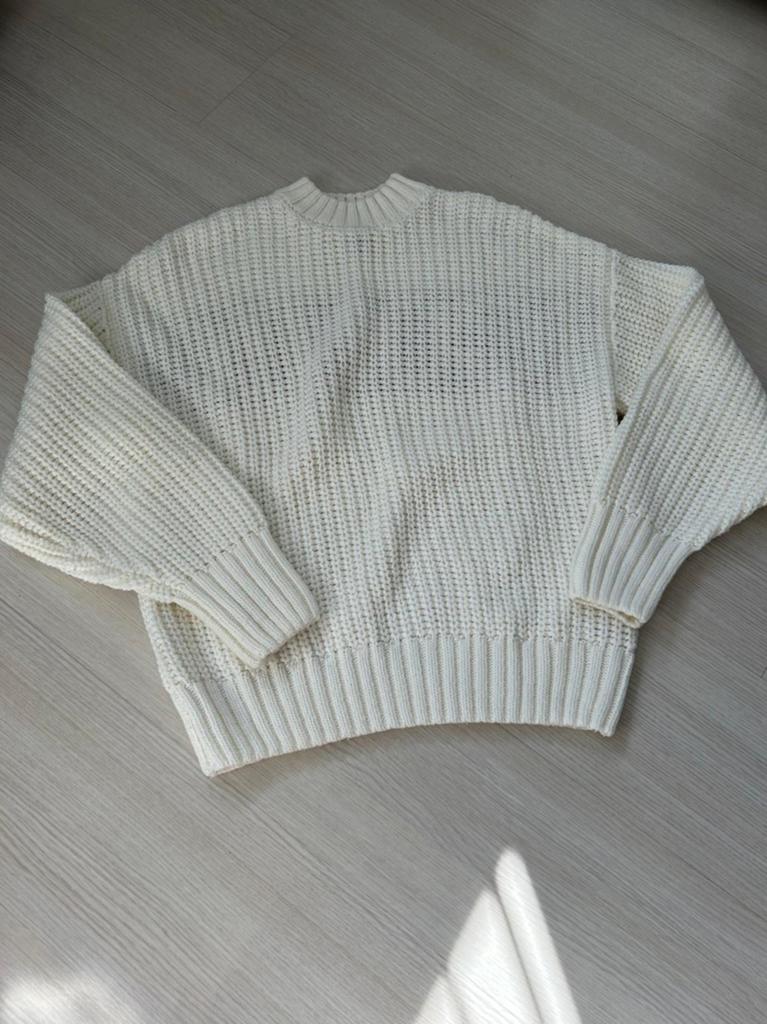 Eksept trui maat XS, Kleding | Dames, Shoeby, Ophalen of Verzenden, Zo goed als nieuw, Maat 34 (XS) of kleiner