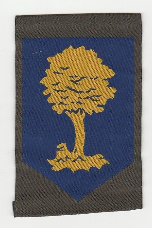 Embleem Opleidings- en trainingscommando (kleur),,, Verzenden, Landmacht, Nederland, Embleem of Badge