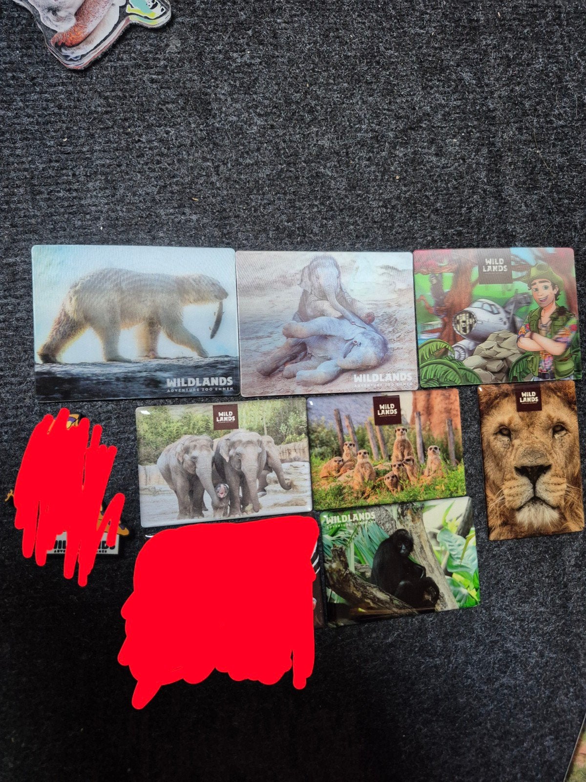 7 wildlands magneten dierentuin emmen, Ophalen of Verzenden, Zo goed als nieuw, Overige typen