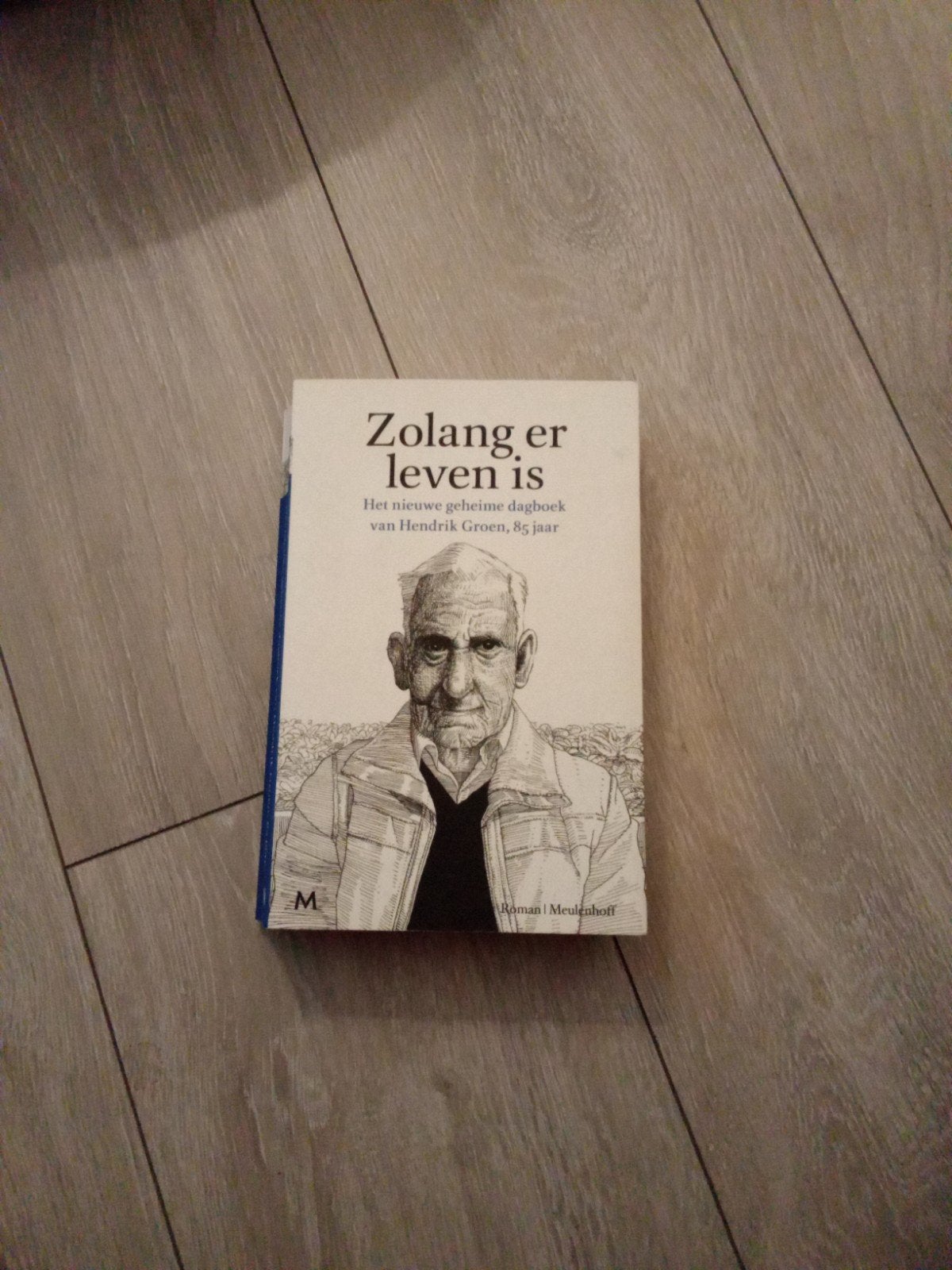 Zolang er leven is - Het nieuwe geheime dagboek van Hendrik, Boeken, Ophalen of Verzenden, Zo goed als nieuw, Hendrik Groen, Nederland