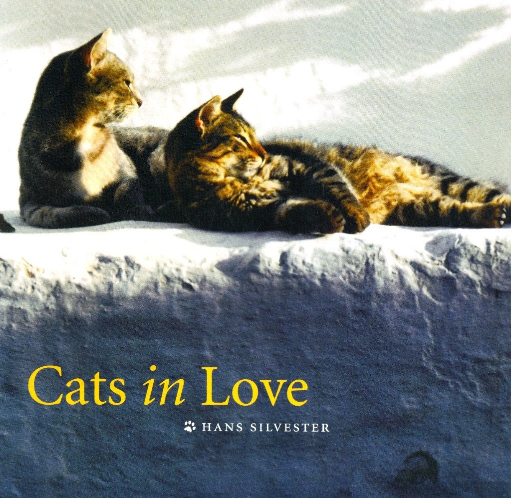 Cats in Love - Hans Silvester / 9780811853514, Zo goed als nieuw, Katten, Hans Silvester, Ophalen of Verzenden
