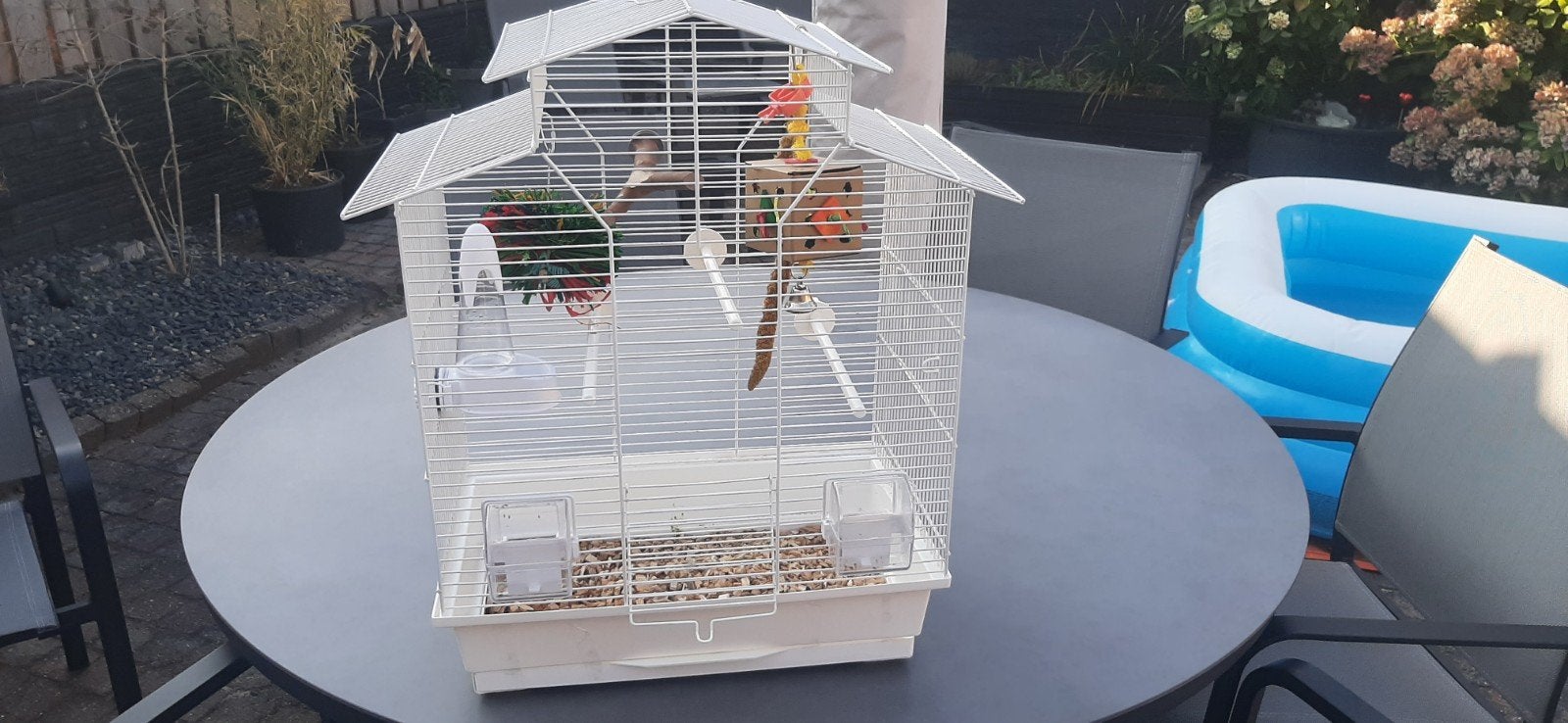 vogelkooi, Ophalen of Verzenden, Metaal, Vogelkooi