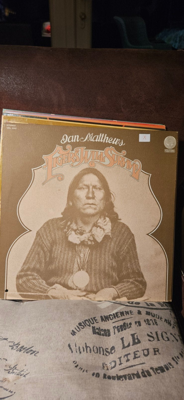 Dan Matthews - Tigers Will Survive LP (Folk Rock), Ophalen, LP, Gebruikt, 12 inch