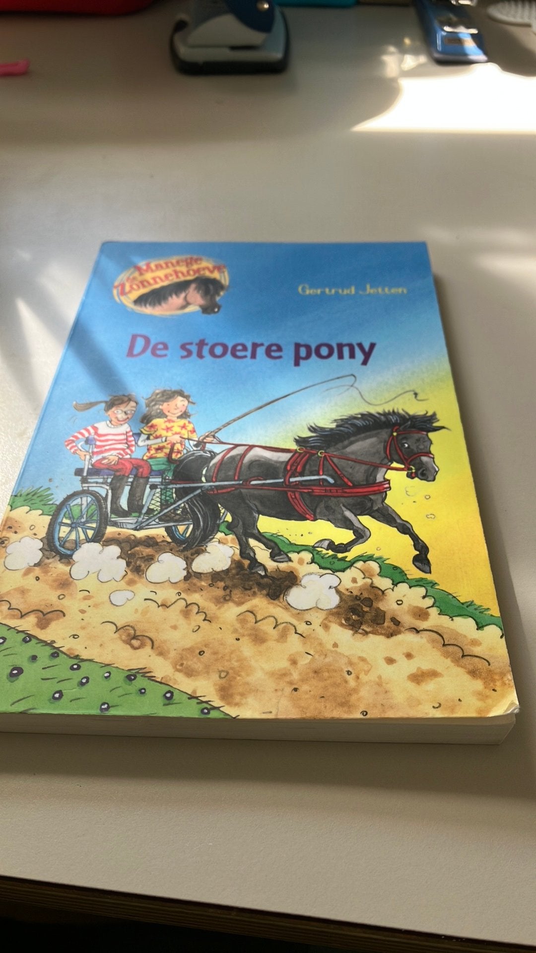 De stoere pony, Ophalen of Verzenden, Zo goed als nieuw, Fictie algemeen