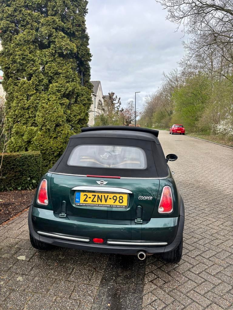 Mini 1.6 16V Cooper Cabrio AUT 2004 Groen, 4 cilinders, 4 stoelen, 115 pk, Particulier