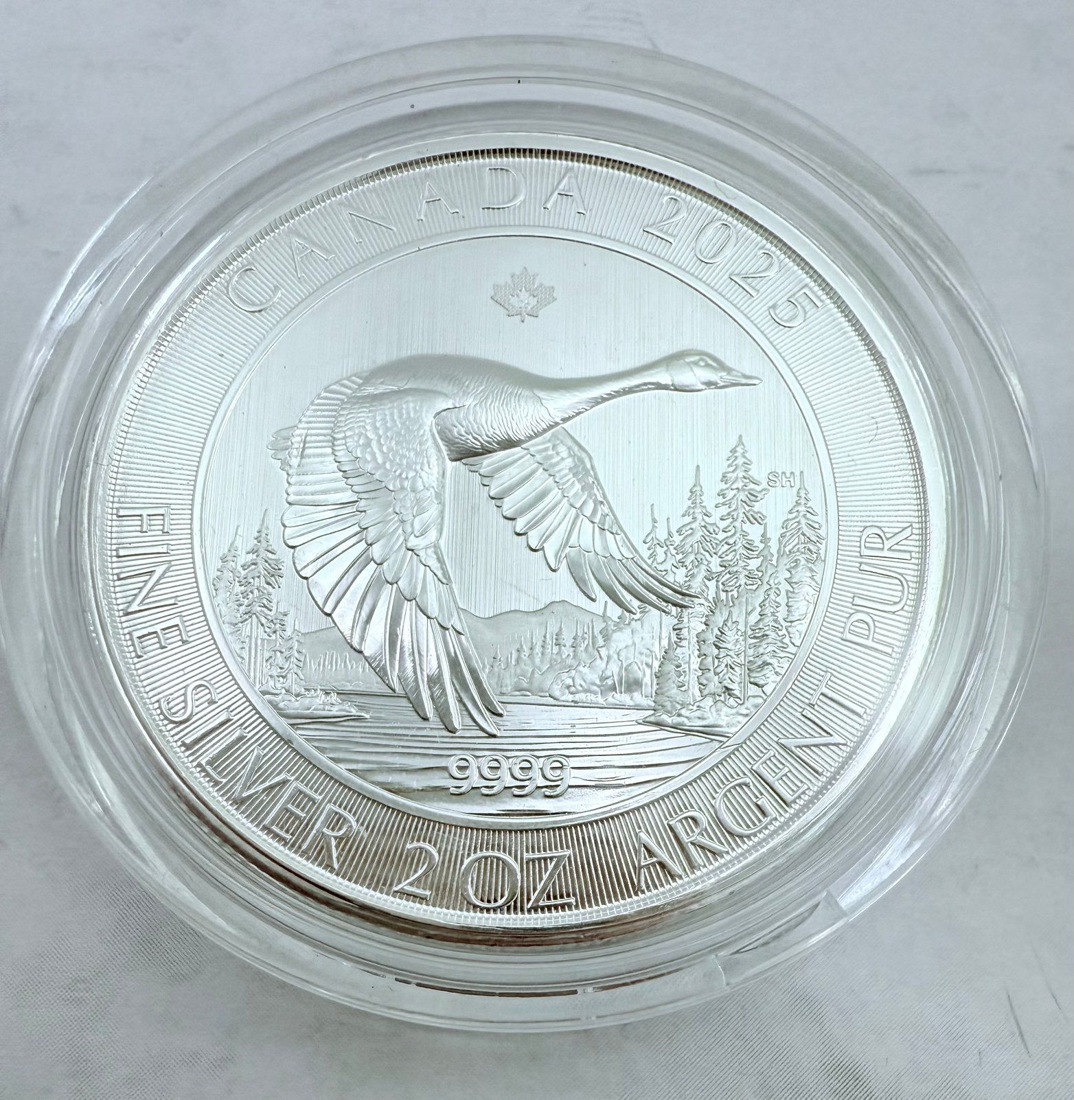 2oz 2025 Canadian Goose / Royal Canadian Mint / 999, Ophalen of Verzenden, Noord-Amerika