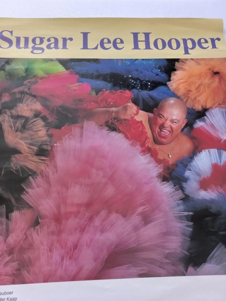 Suger Lee  Hooper Poster, Rechthoekig Staand, Ophalen of Verzenden, Zo goed als nieuw, A1 t/m A3