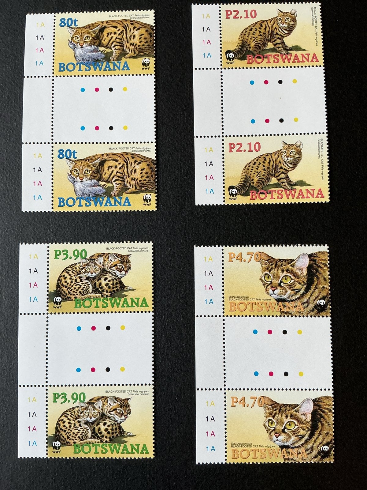 Chats Katzen Cats Botswana - Zwartvoetkatten WWF Editie, Postzegels en Munten, Verzenden, Overige landen, Postfris