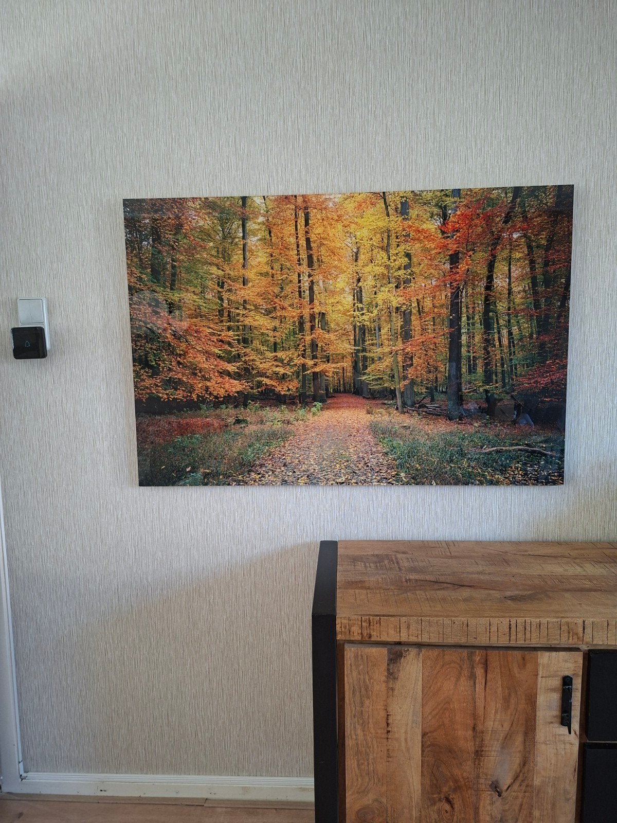 plexiglas schilderij herfst bos 1.20 x 80 cm Z.g.a.n, Ophalen, Zo goed als nieuw, Schilderij