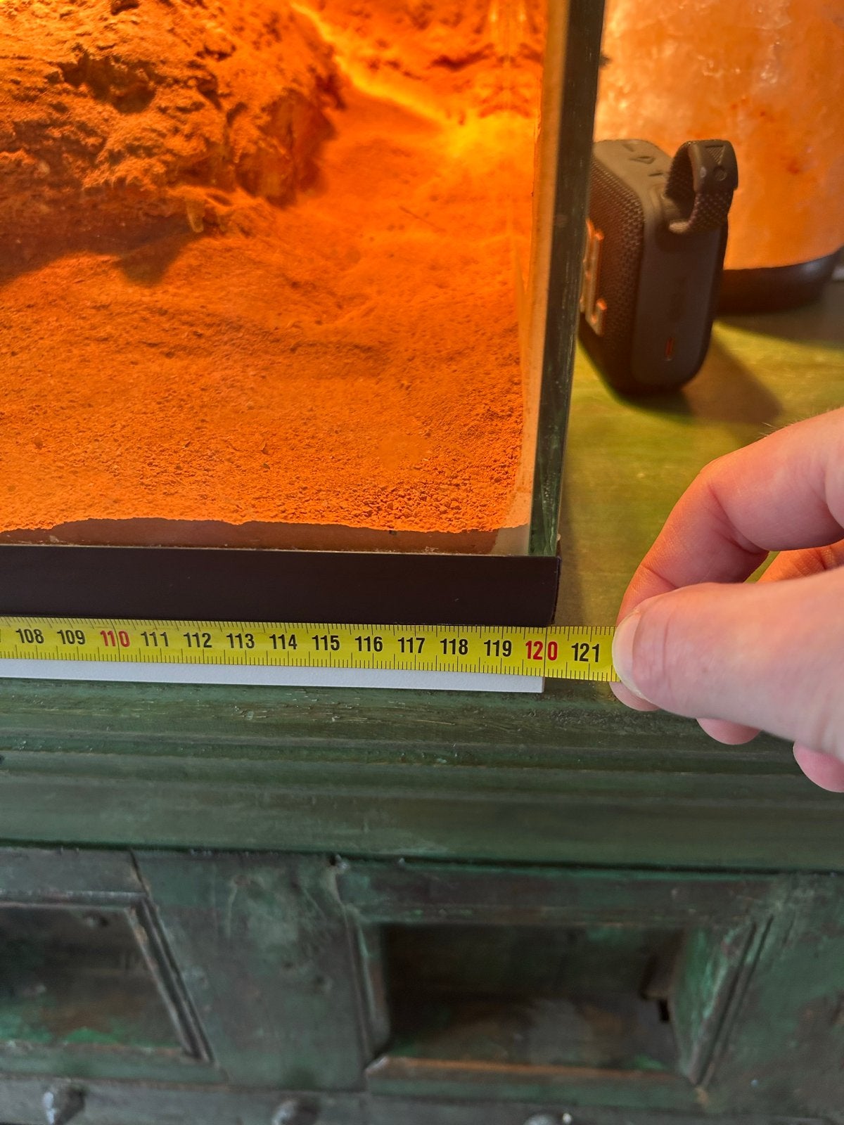 Baardagaam rood met blue lagoon terrarium (compleet) Bearded Dragon photo 9