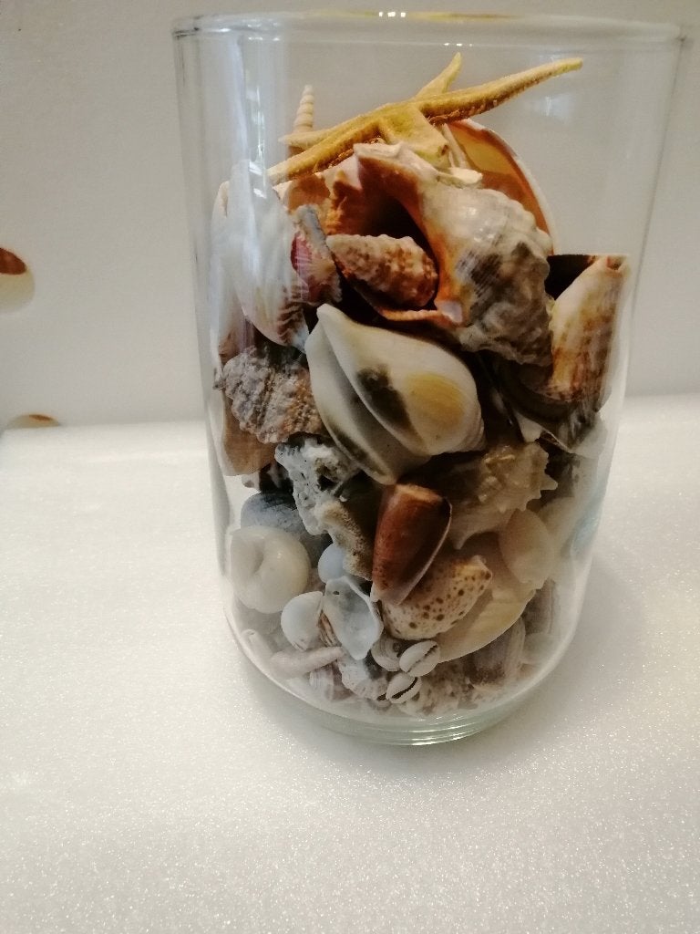 Een grote glazen pot gevuld met mooie schelpen, Ophalen of Verzenden, Schelp(en)