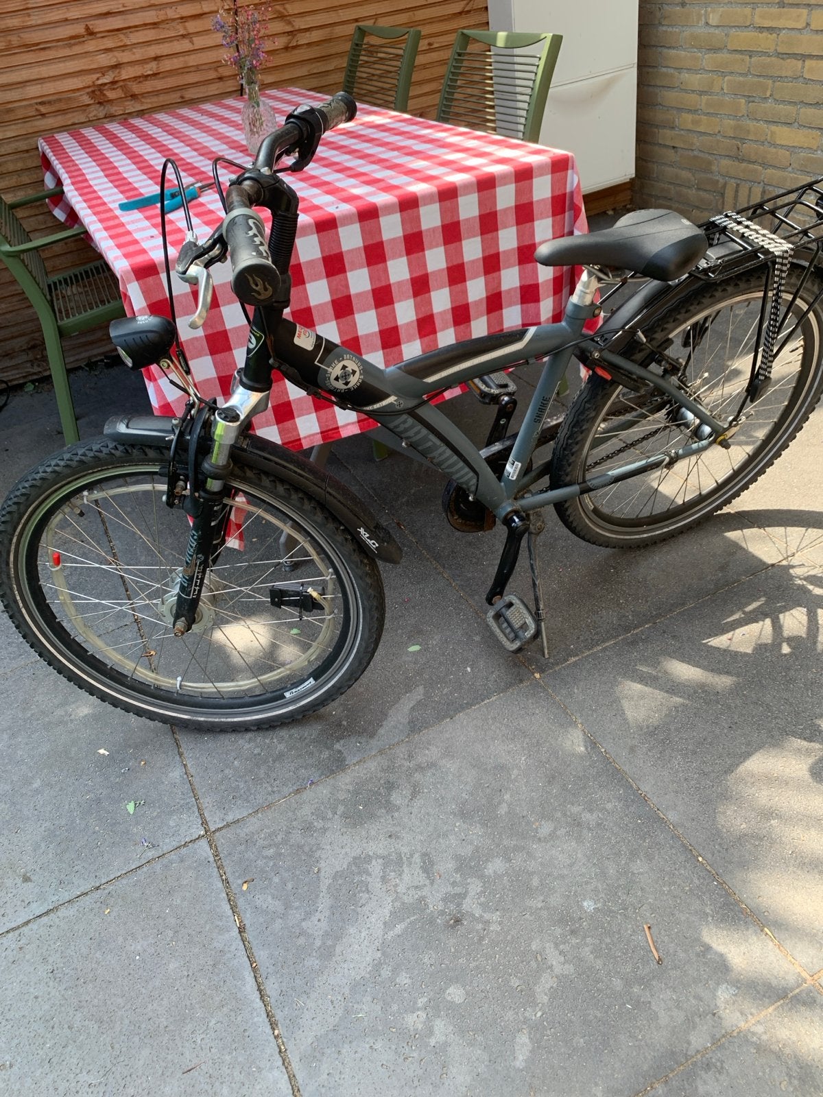 Batavus Snake 24 inch kinderfiets, Fietsen en Brommers, Fietsen | Kinderfietsjes, Ophalen, Gebruikt, Terugtraprem, 20 inch of meer