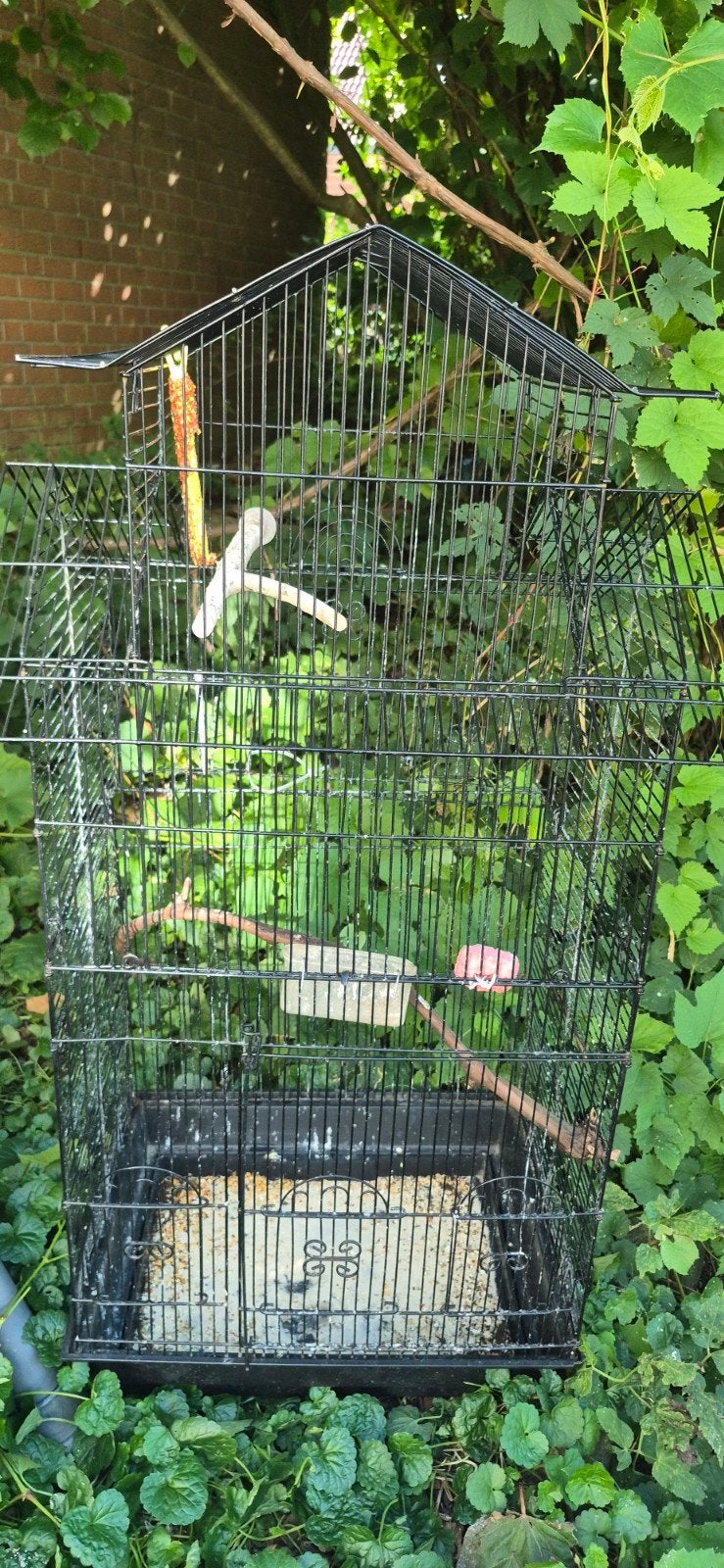 kooi te koop, Dieren en Toebehoren, Ophalen, Zo goed als nieuw, Metaal, Vogelkooi
