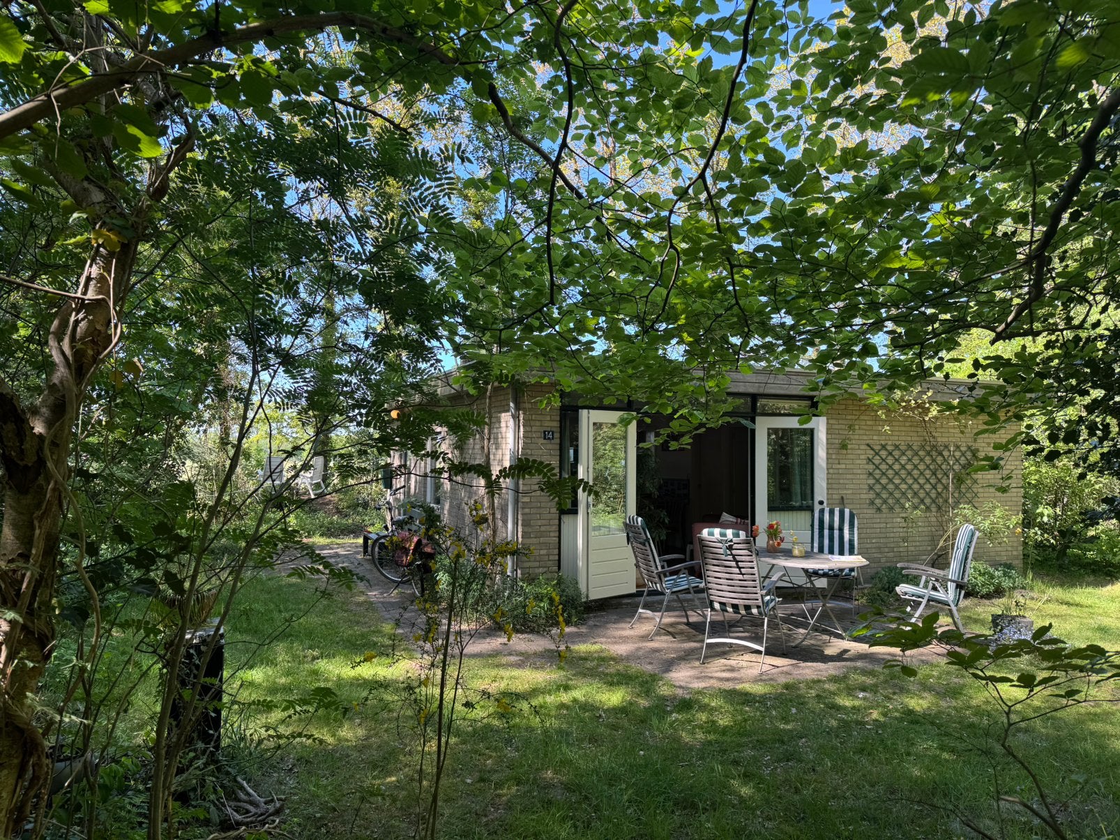 Lastminute vakantiehuisje drenthe 3/10 juli 350 euro, Vakantie, Vakantiehuizen | Nederland, 5 personen, In bos, Recreatiepark