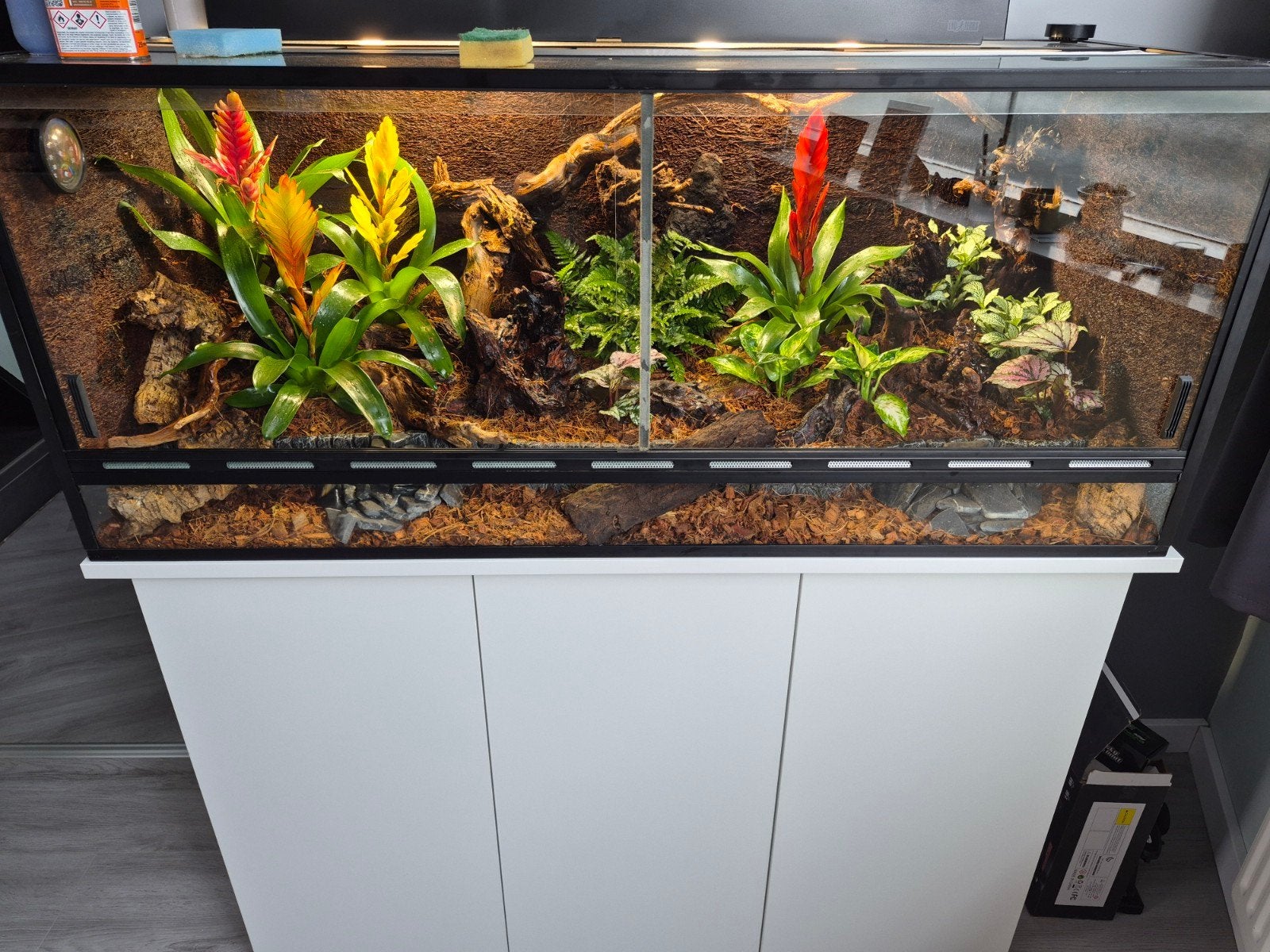 Terrarium 120x50x50, Ophalen, Zo goed als nieuw, Terrarium of Paludarium