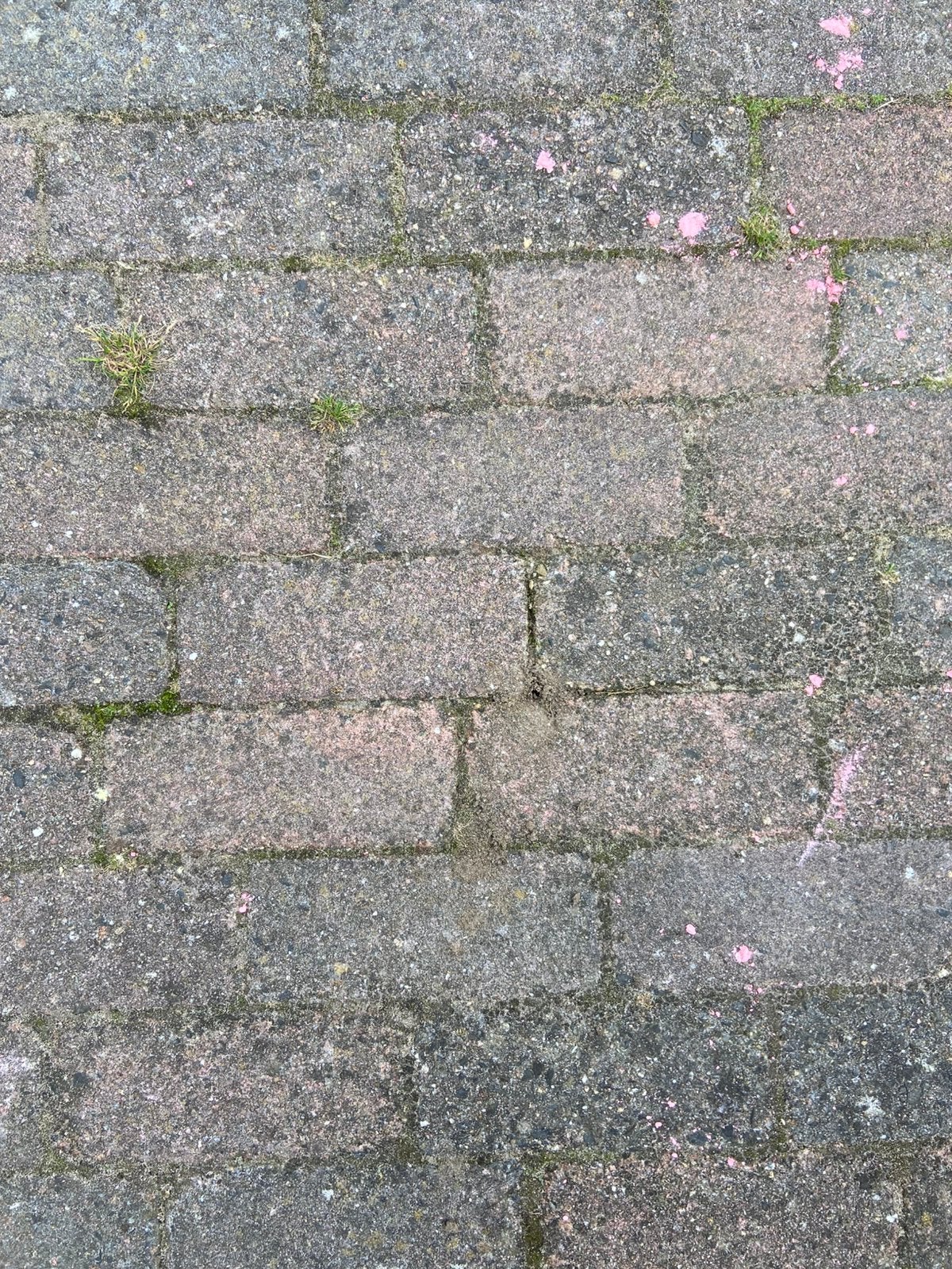 Gratis klinkers (25m2) en stoeptegels (12m2), Ophalen, Zo goed als nieuw, Beton, Klinkers